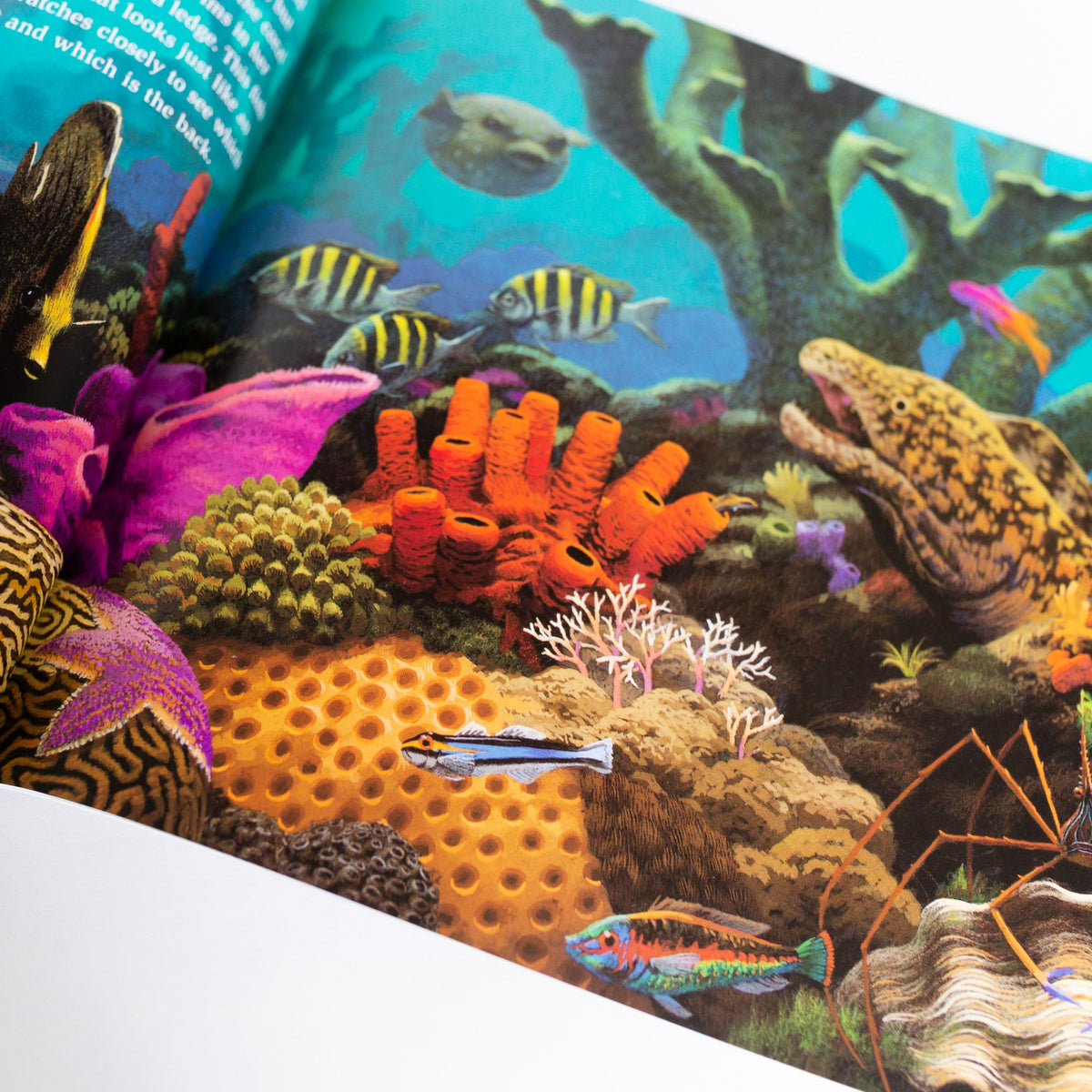 状態◎SCUD 05-c ブラック×オーシャンターコイズ 極美品ミズノ SCUD 05C 状態◎SCUD 05-c ブラック×オーシャン