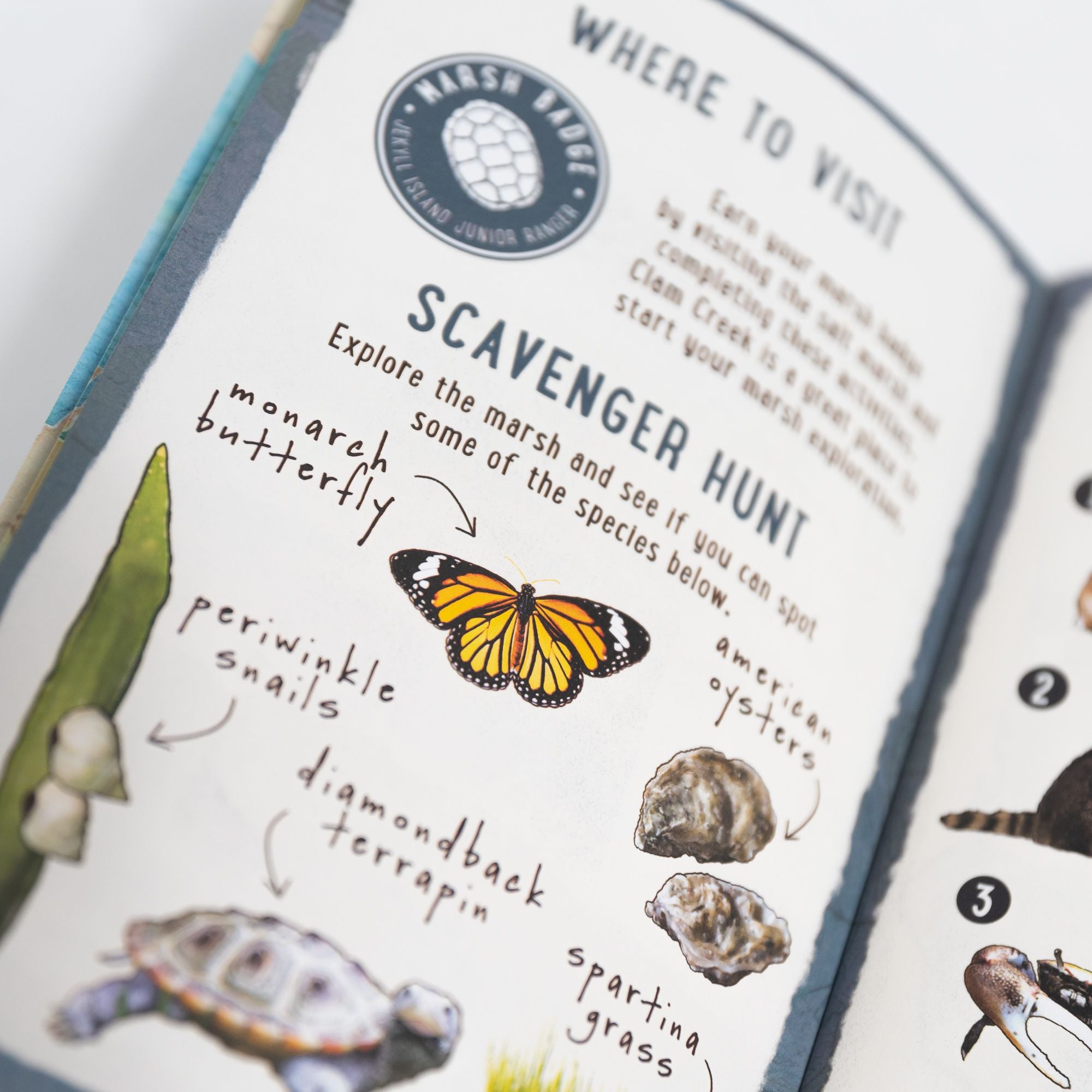 Junior Ranger Field Guide