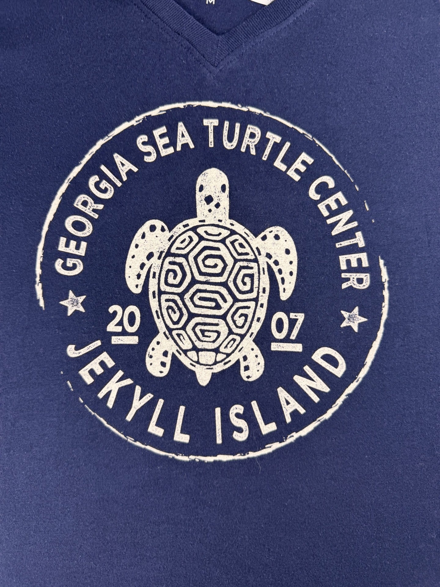 GSTC Turtle V-neck Boxy Beantown