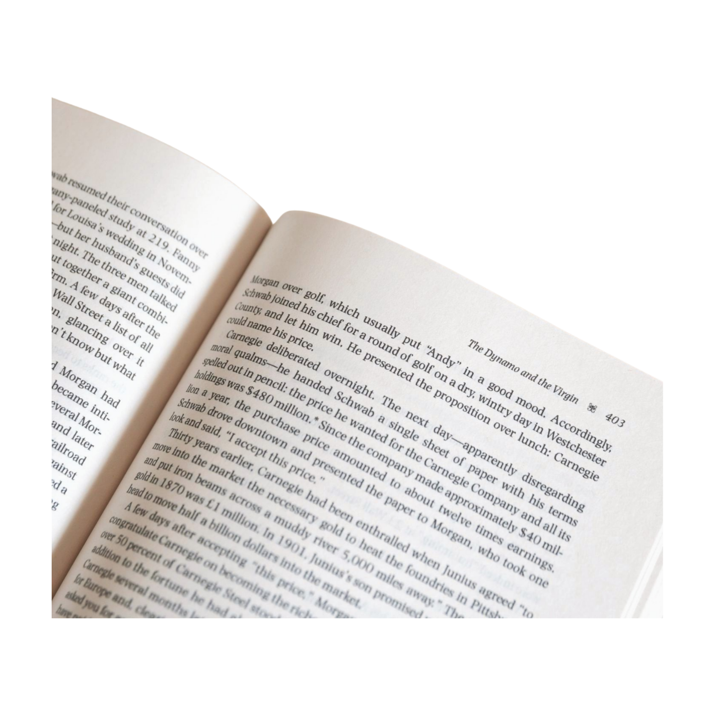 MOSAIC Morgan: American Financier - Book