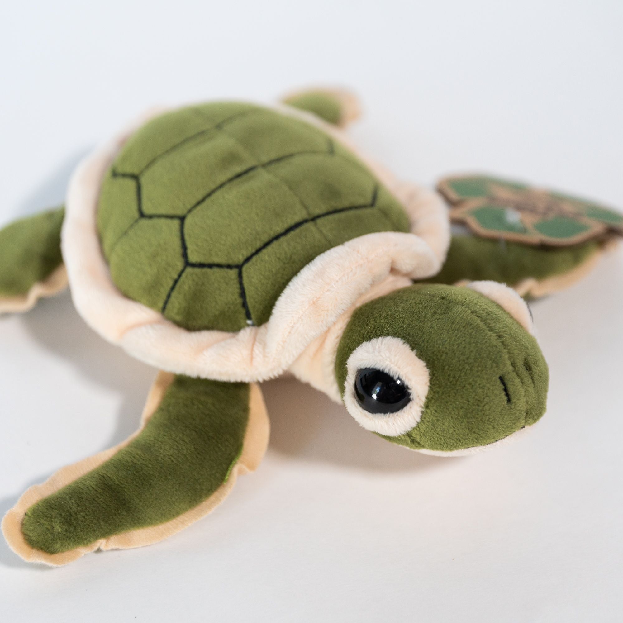 9" GSTC Turtle Hatchling Plush
