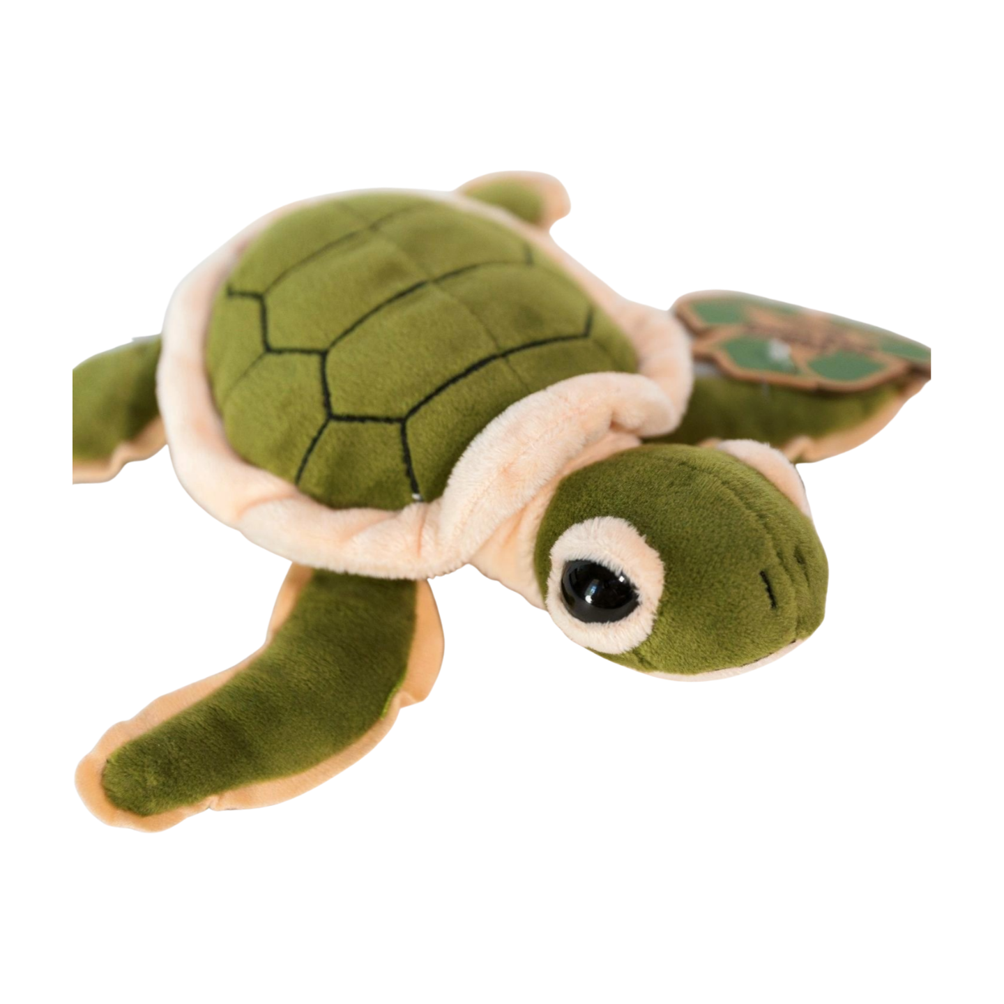 GSTC 9" Turtle Hatchling Plush