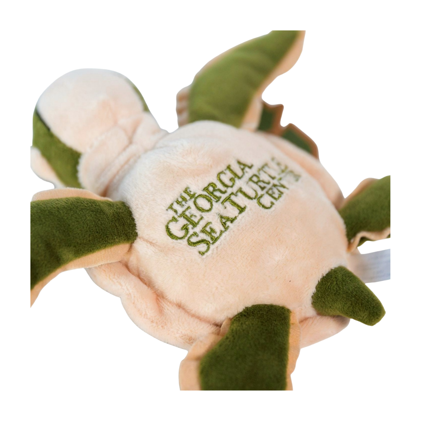 GSTC 9" Turtle Hatchling Plush