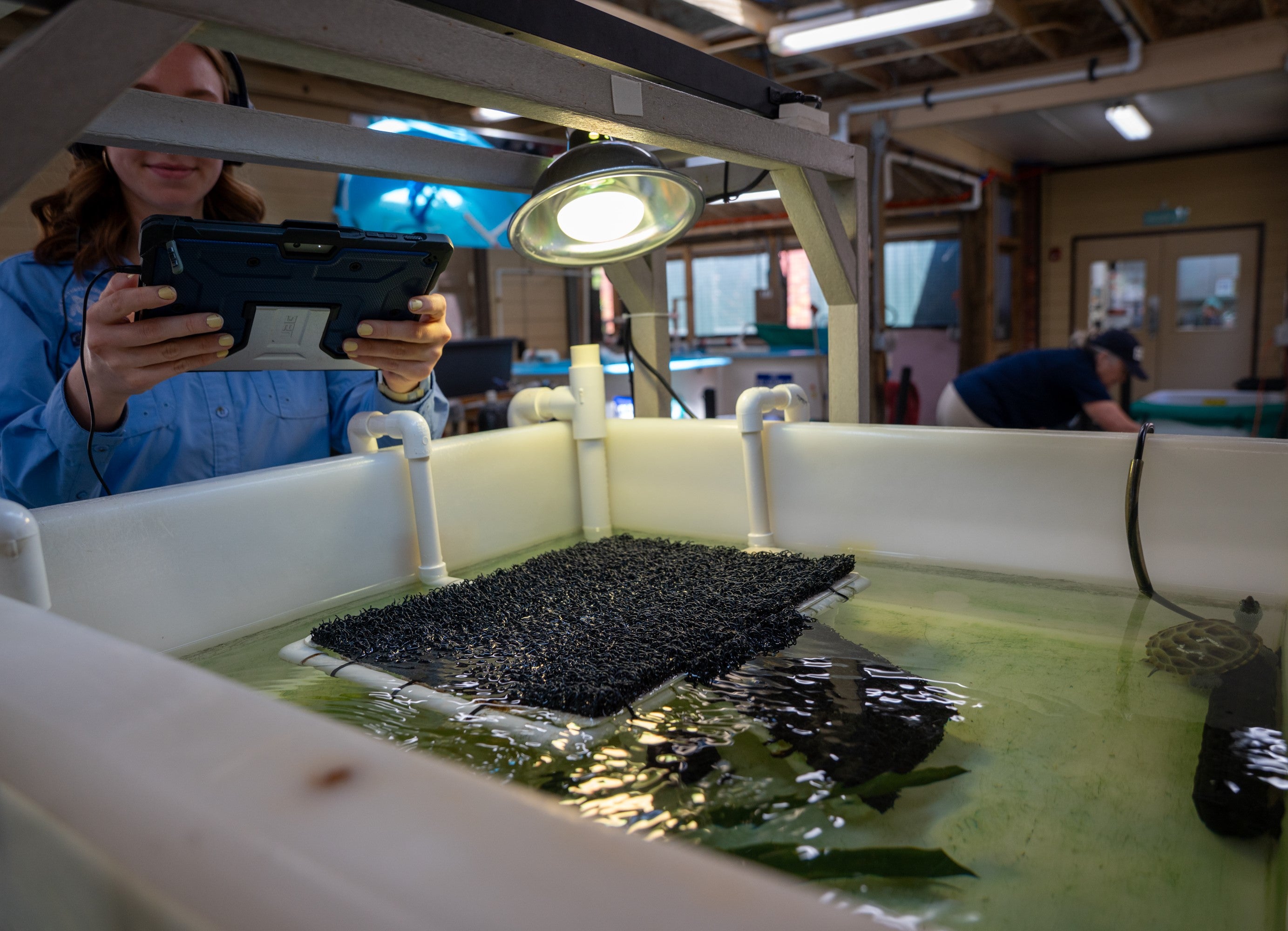 Scute's School: Virtual Field Trips