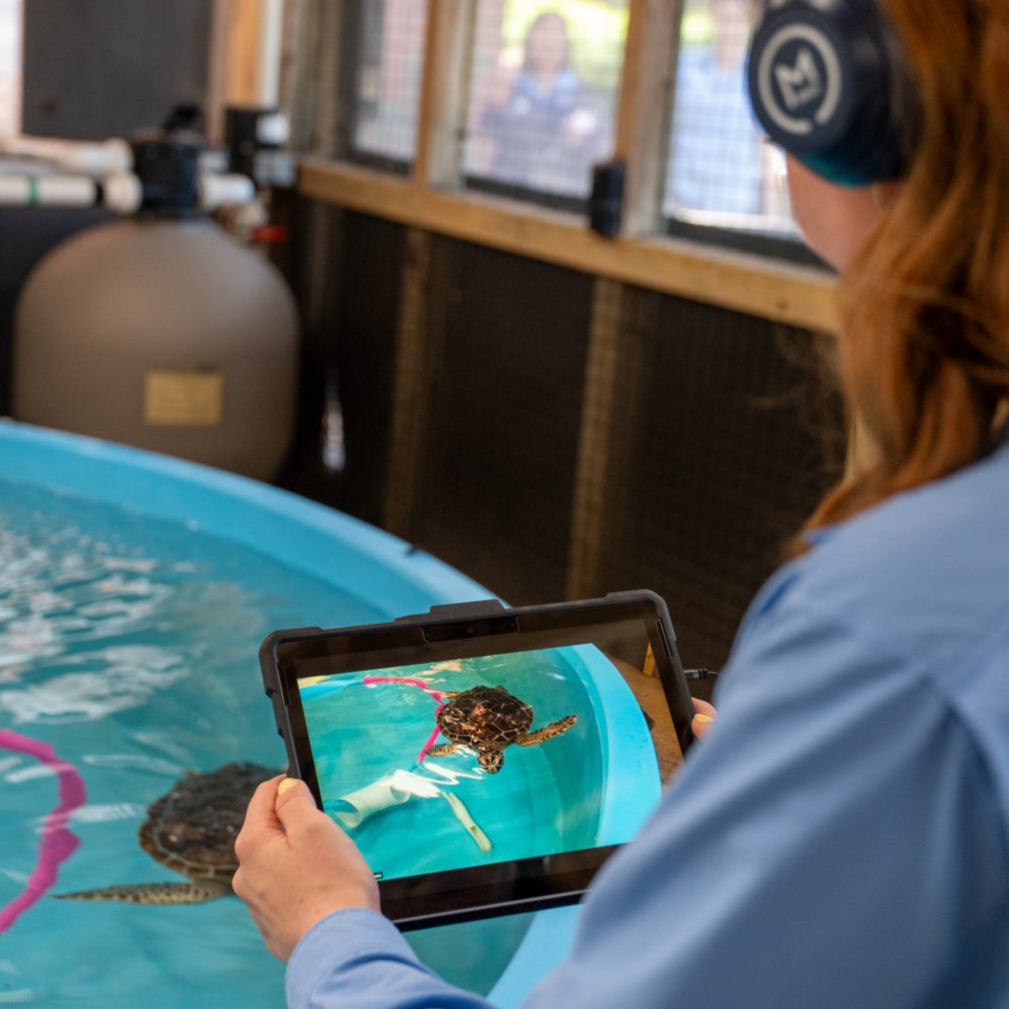 Scute's School: Virtual Field Trips