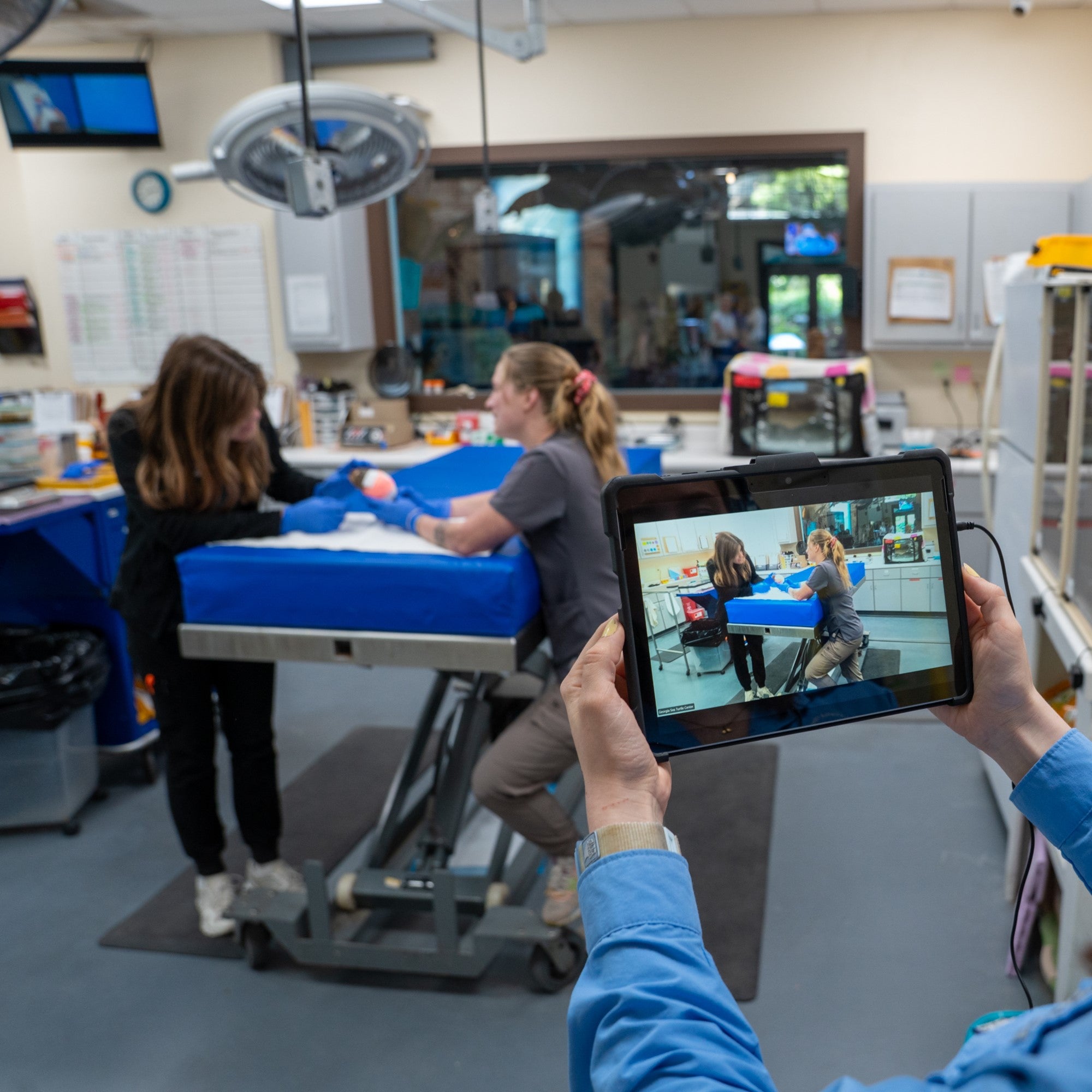 Scute's School: Virtual Field Trips