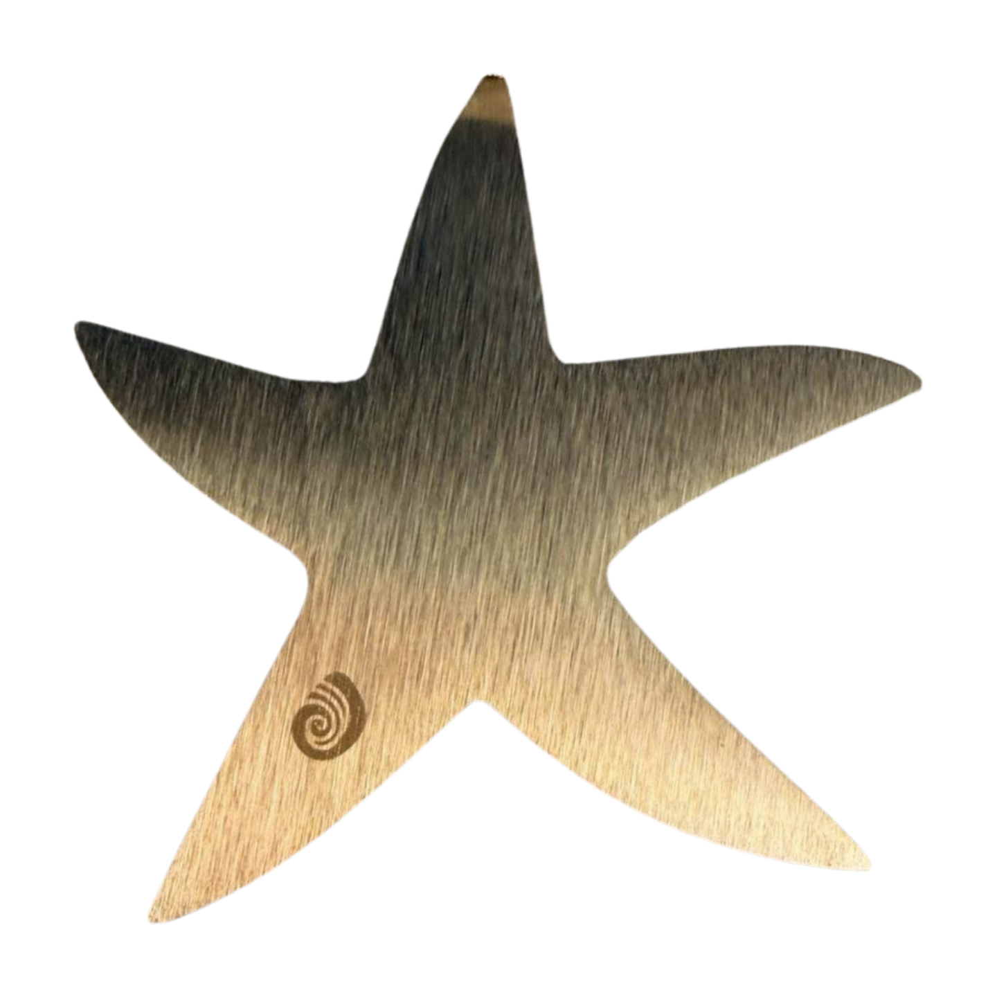 31•81 Starfish Ornament by Dune Jewelry