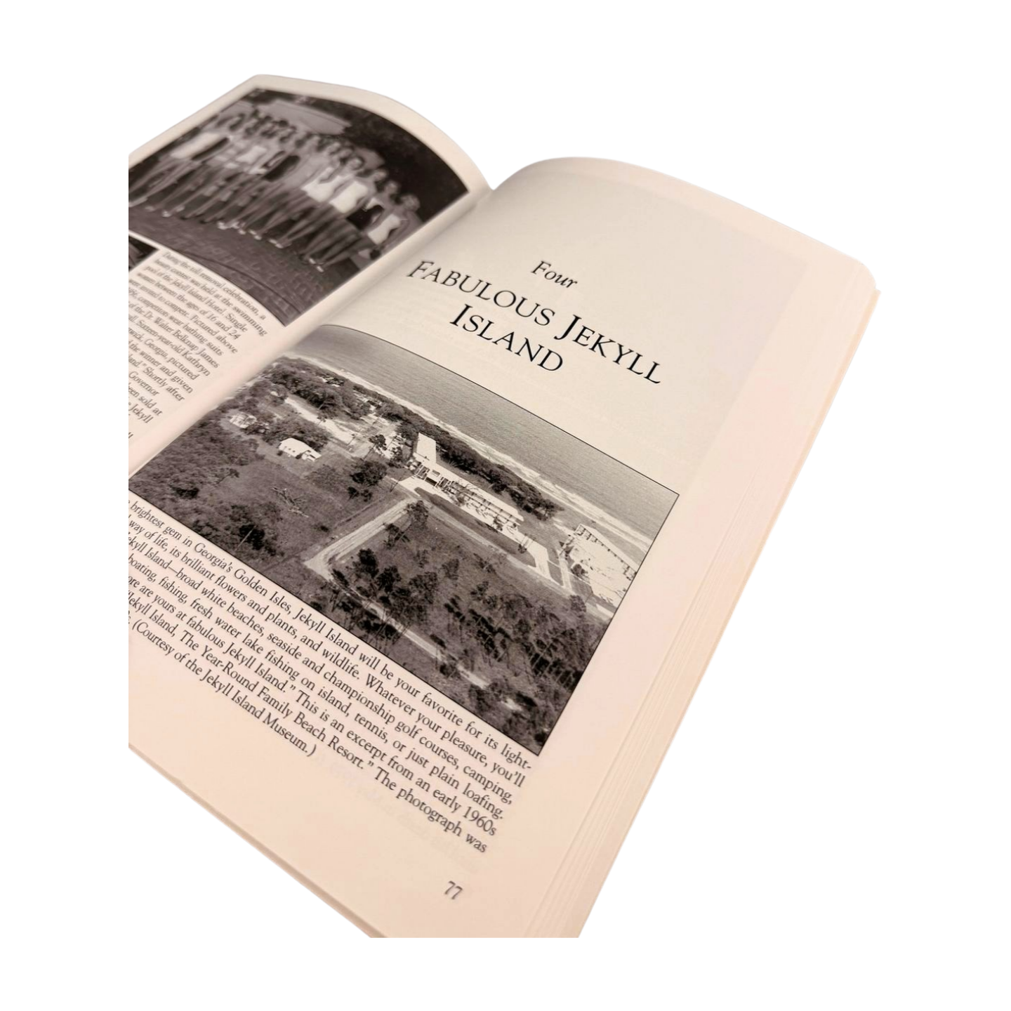 MOSAIC Images of America: Jekyll Island A State Park