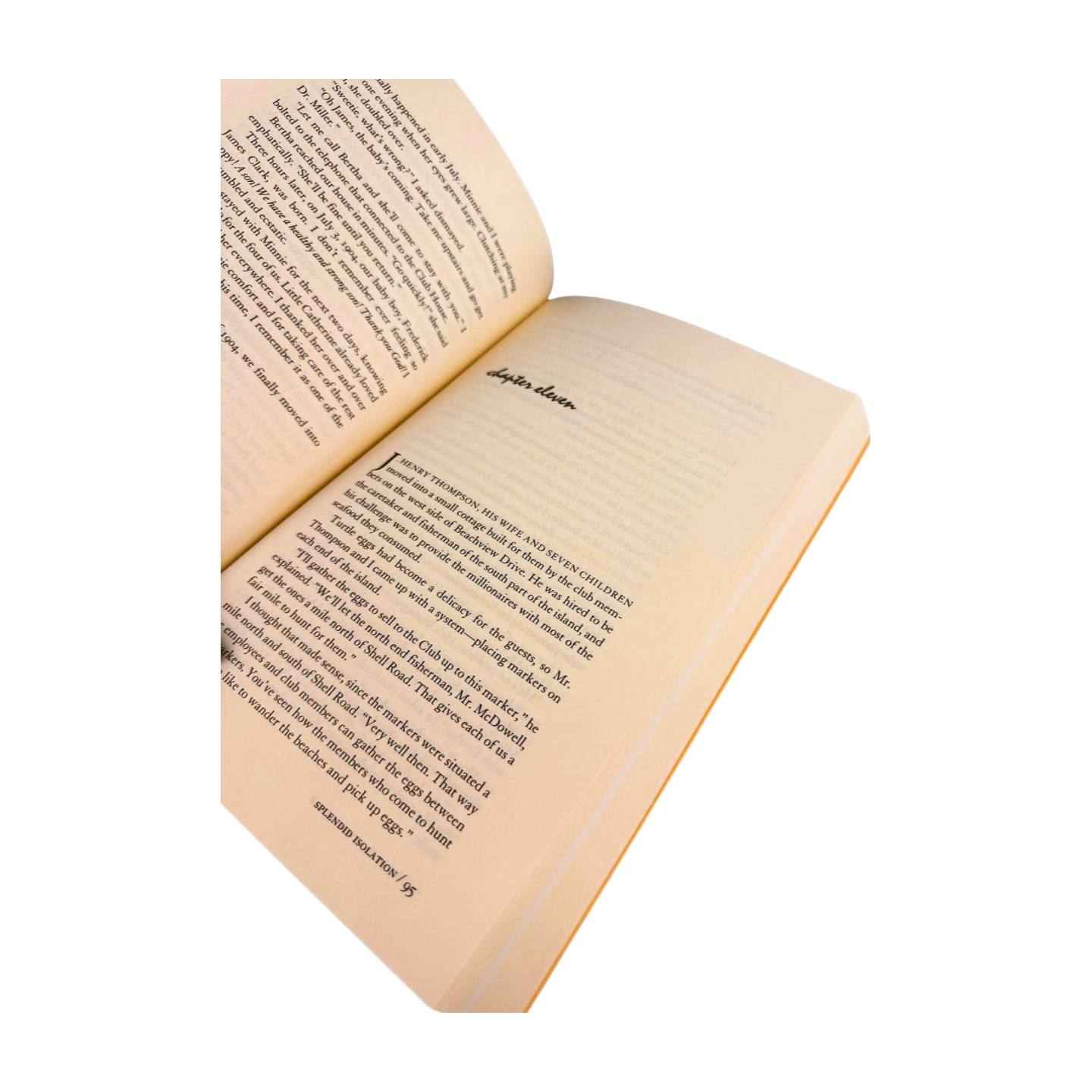 MOSAIC Splendid Isolation by Pamela Bauer Mueller