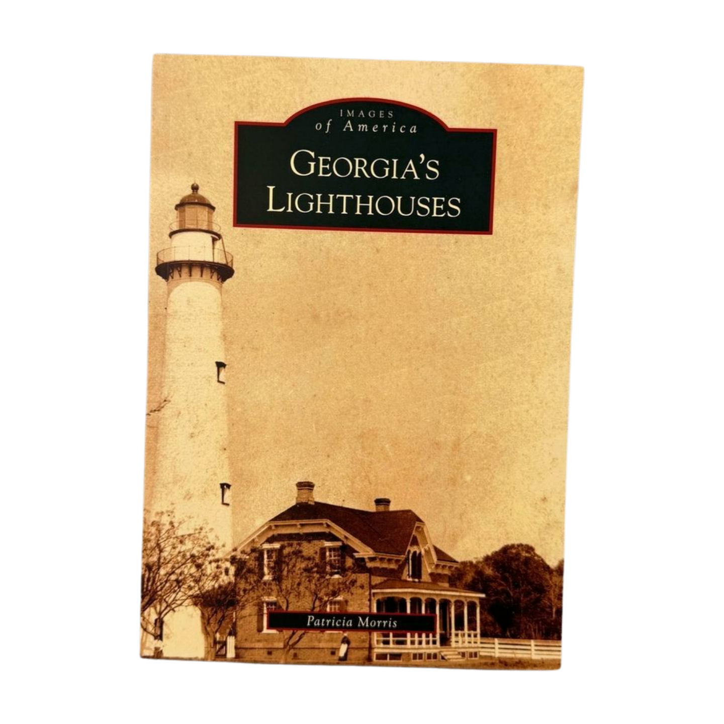 MOSAIC Georgia's Lighthouses Book