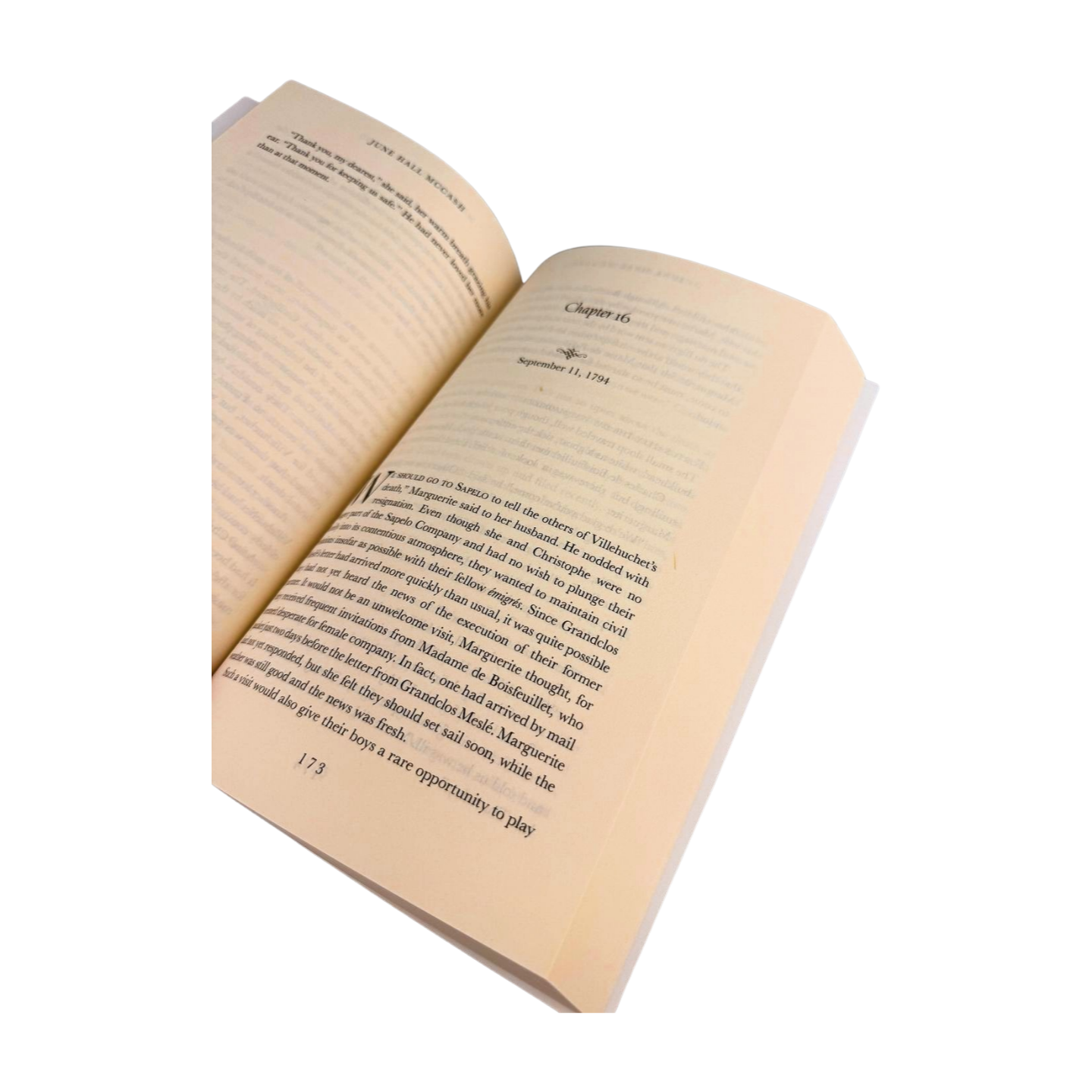 MOSAIC Marguerite's Landing Book