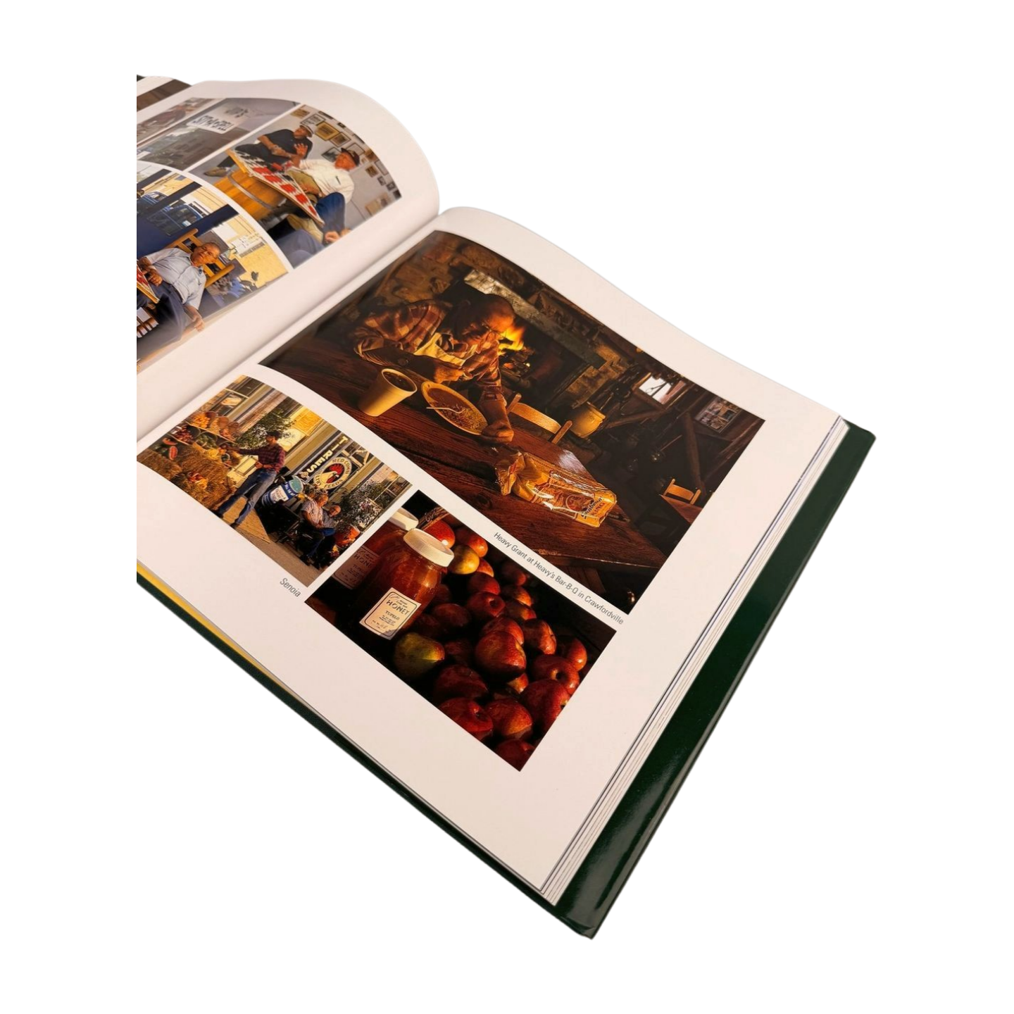 MOSAIC Oglethorpe's Dream Book