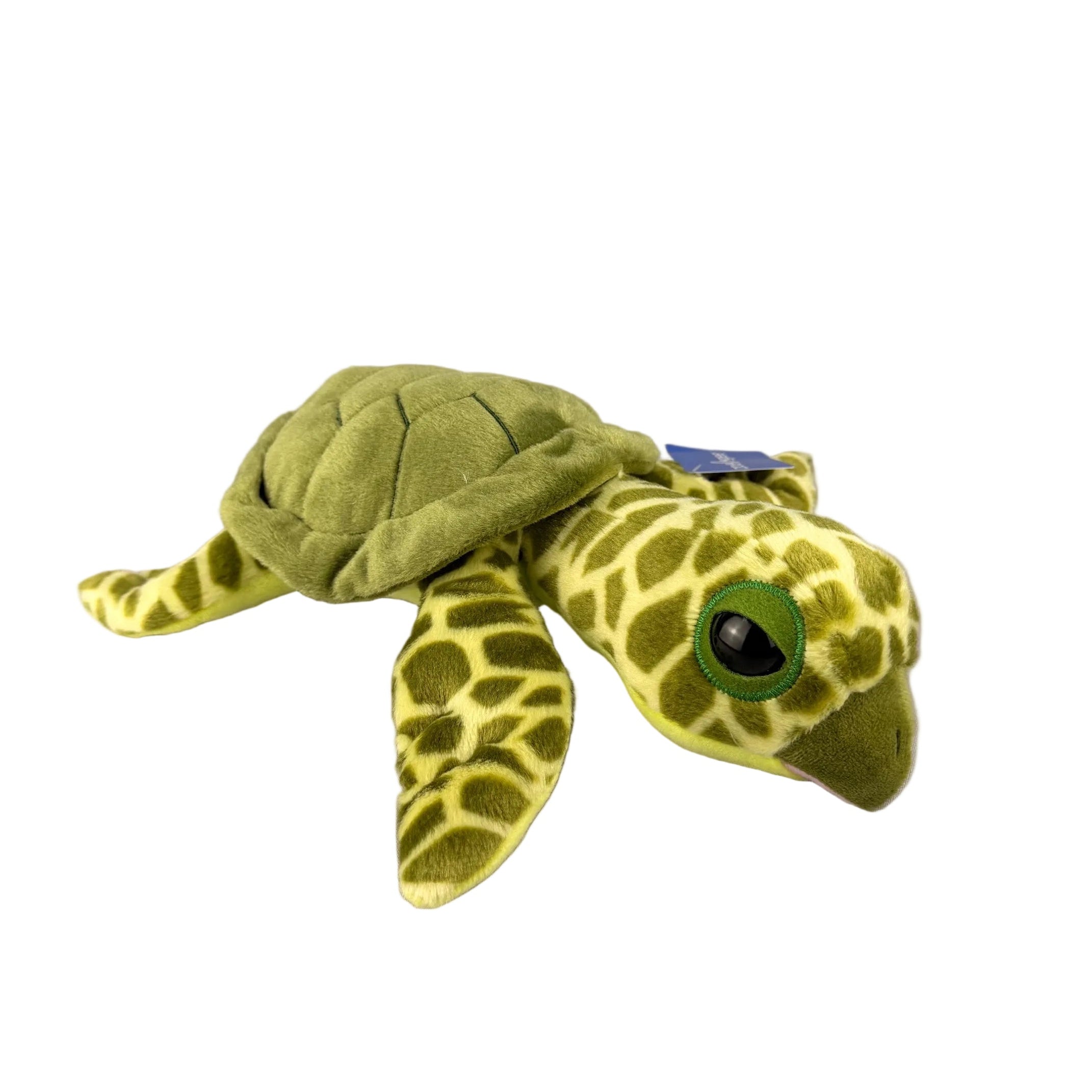 GSTC 13" Posable Sea Turtle by Zoologee