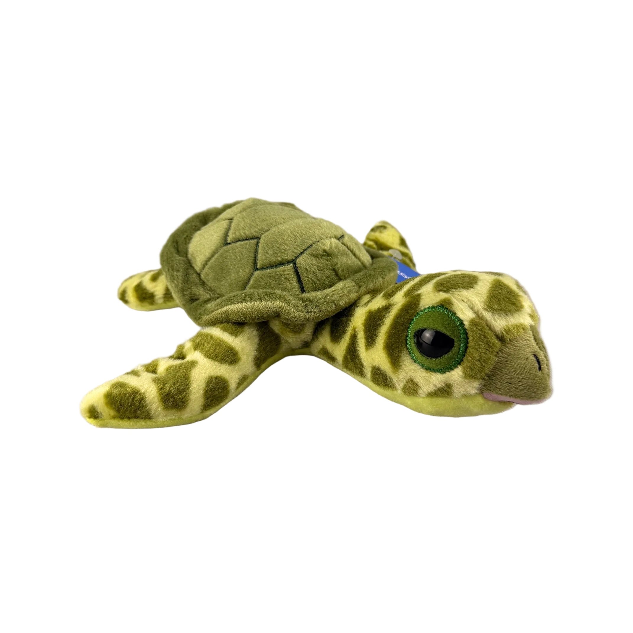 GSTC 9" Posable Sea Turtle by Zoologee