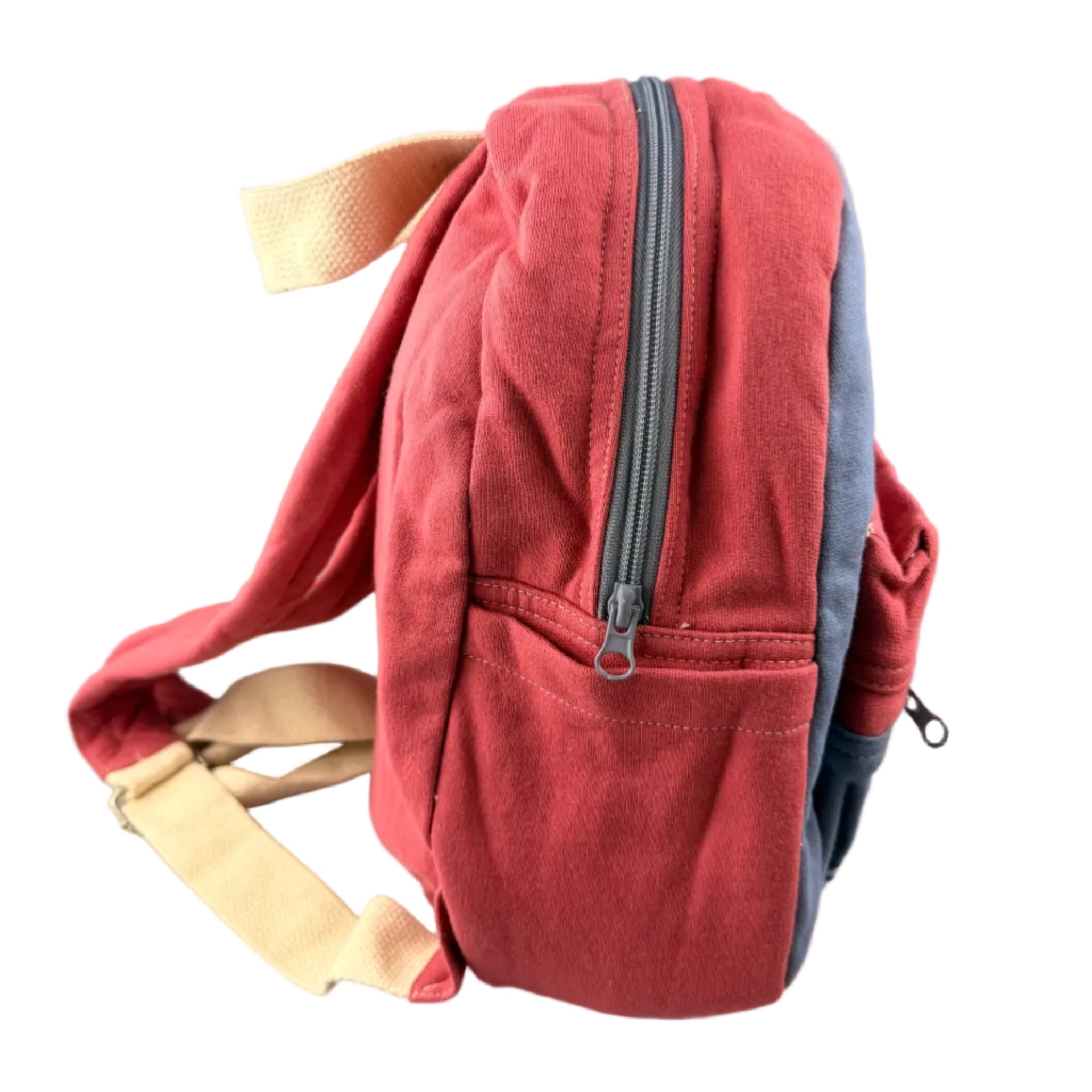 GSTC Upcycled Turtle YOUTH Backpack by Beantown