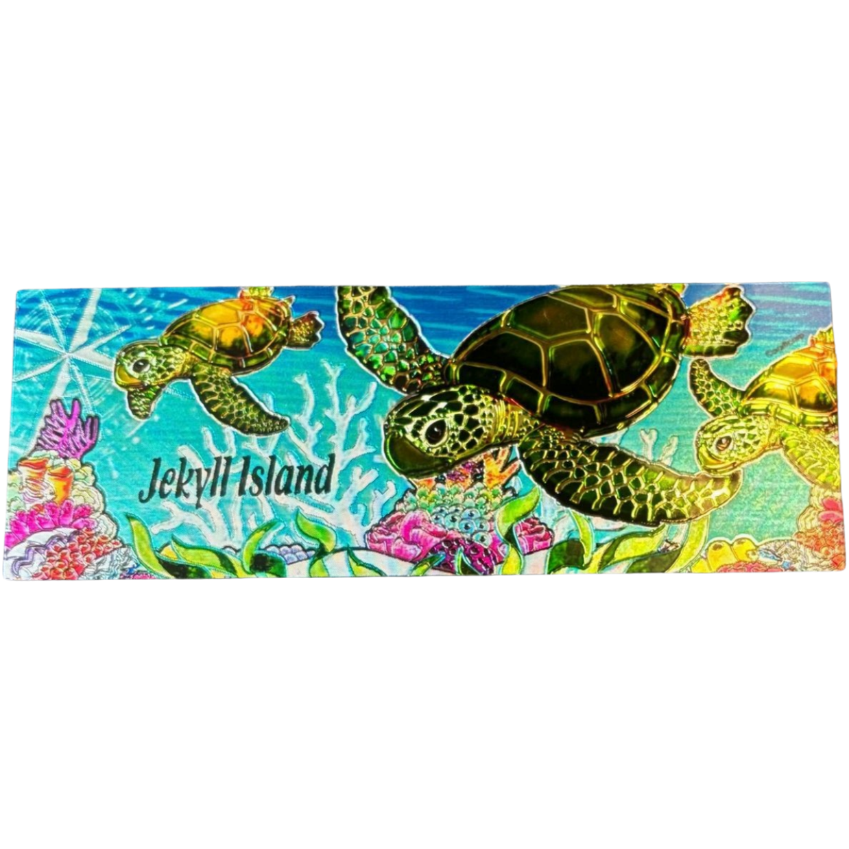 Adopt the Kemp's Ridley Sea Turtles (Symbolic)