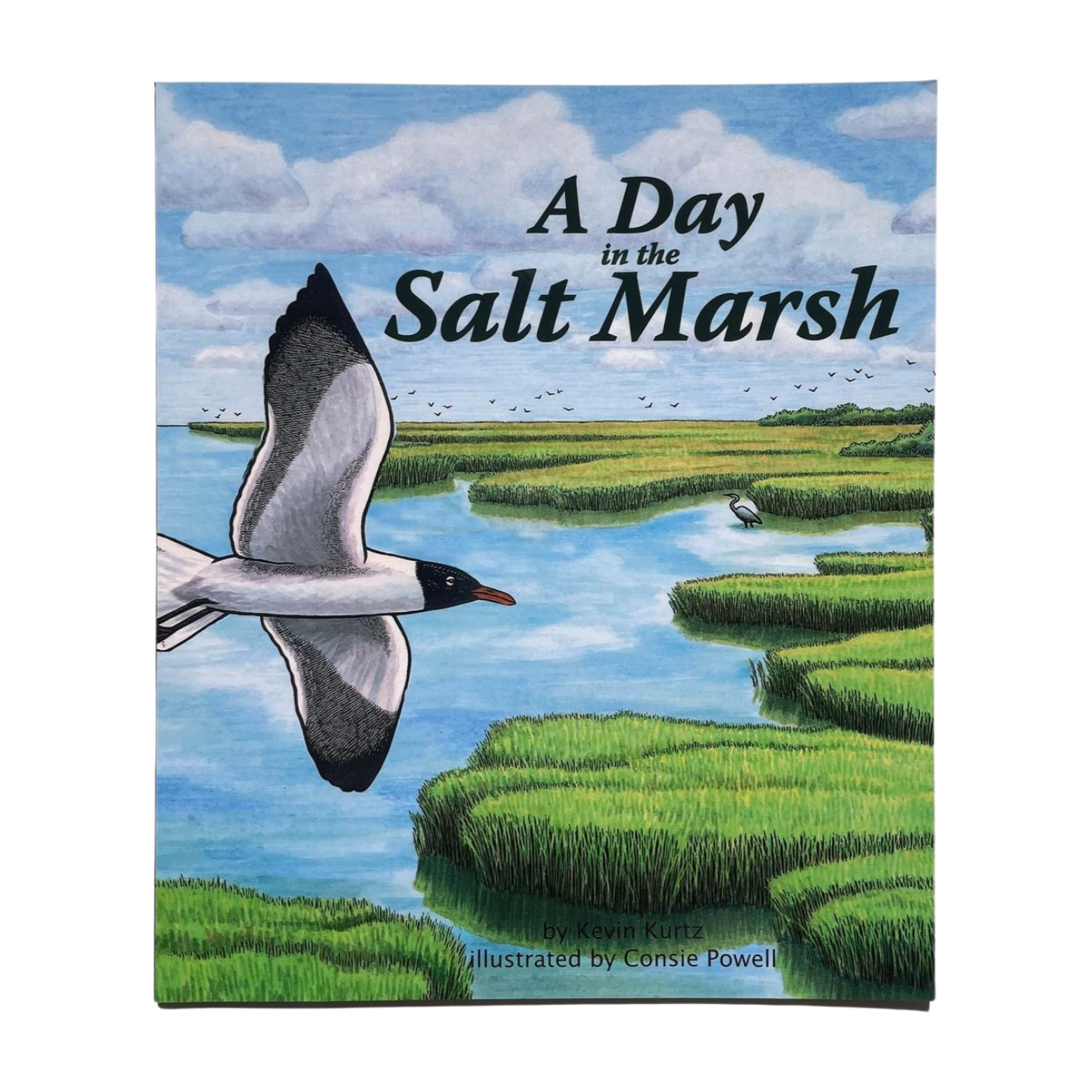 GSTC 'A Day in the Salt Marsh' Children's Book