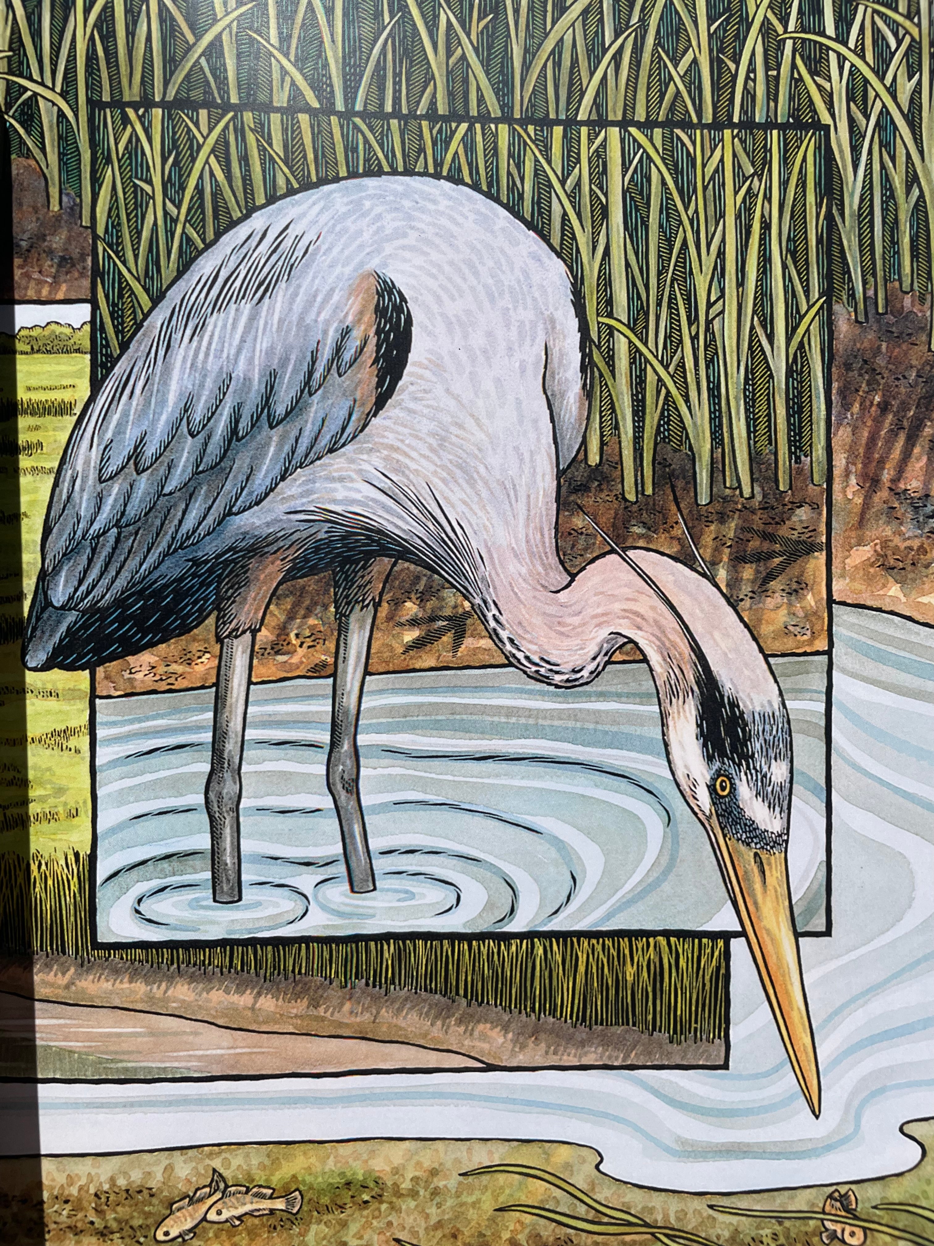 GSTC 'A Day in the Salt Marsh' Children's Book