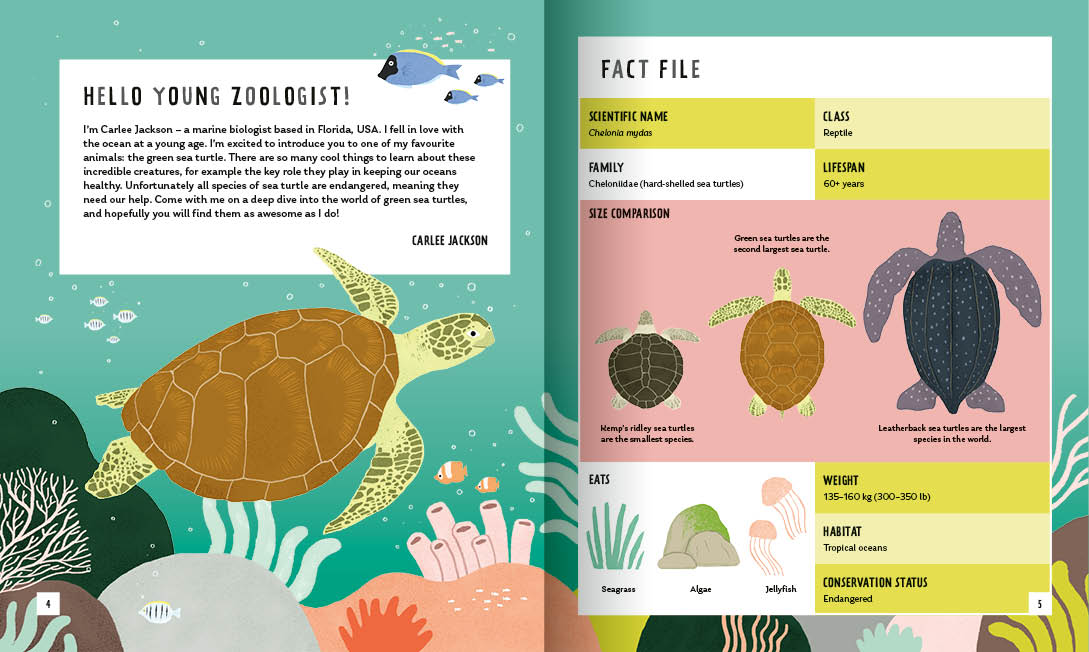 GSTC Green Sea Turtle Young Zoologist Children's Book
