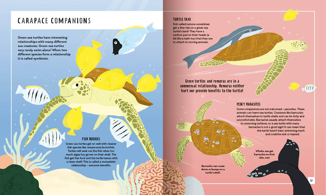 GSTC Green Sea Turtle Young Zoologist Children's Book