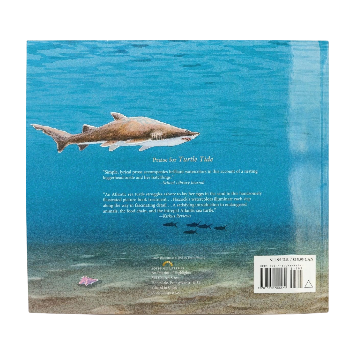 GSTC Turtle Tide: The Ways of Sea Turtles