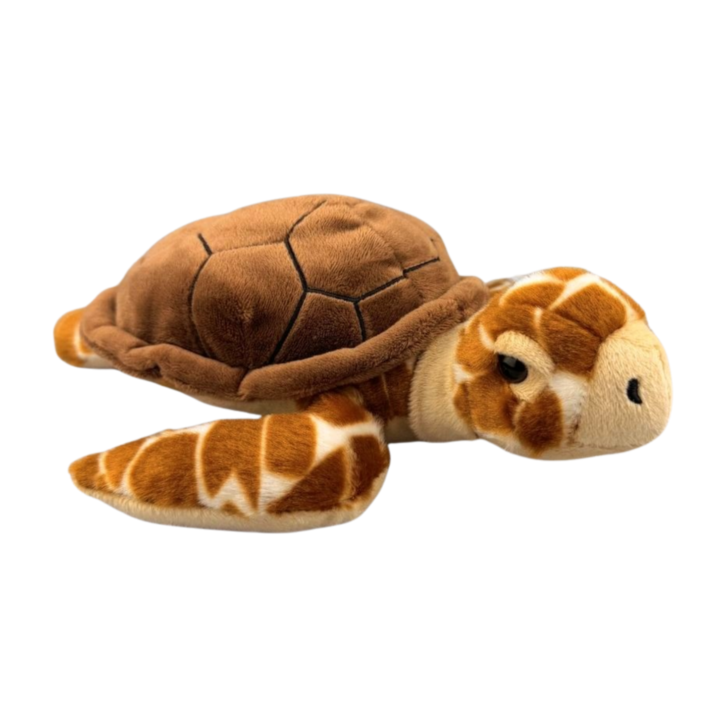 GSTC 10"Loggerhead Sea Turtle Plush