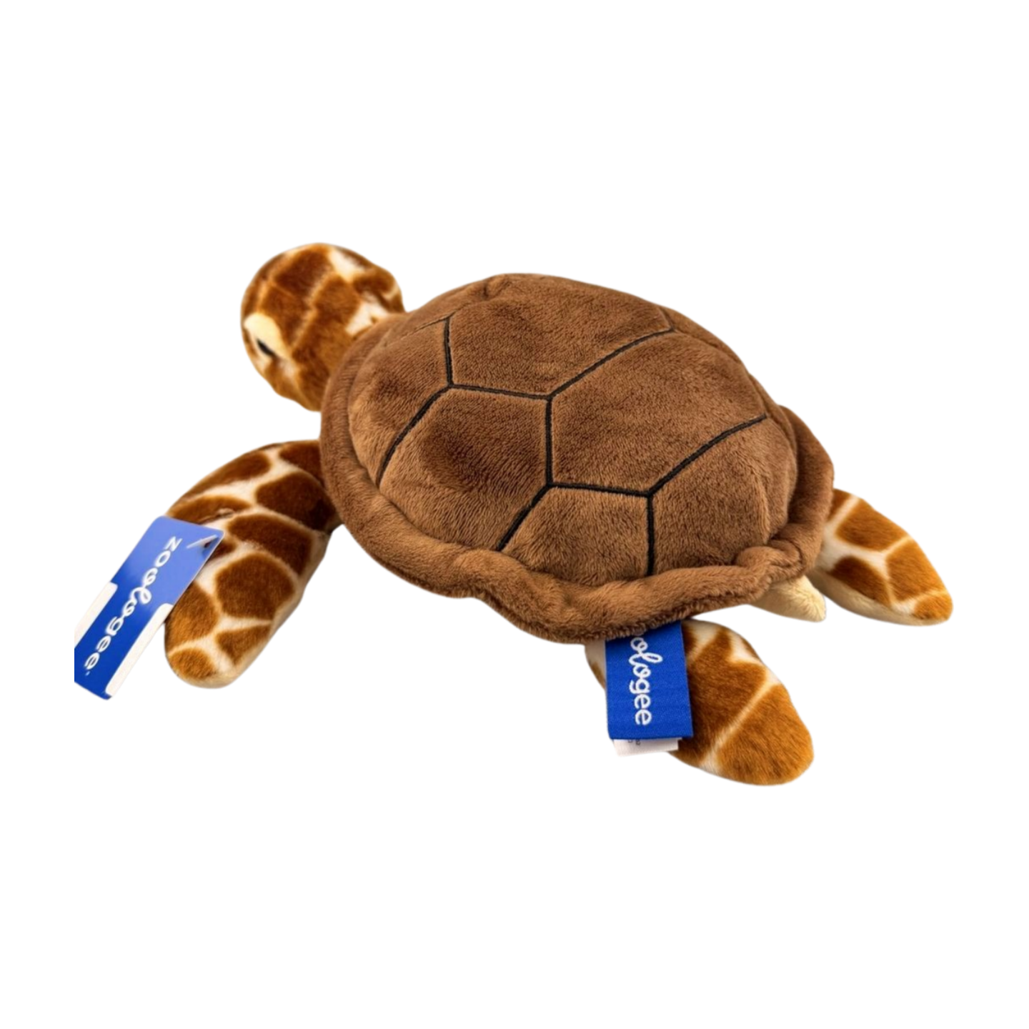 GSTC 10"Loggerhead Sea Turtle Plush