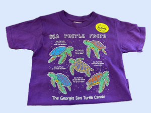 Toddler Sea Turtle Facts