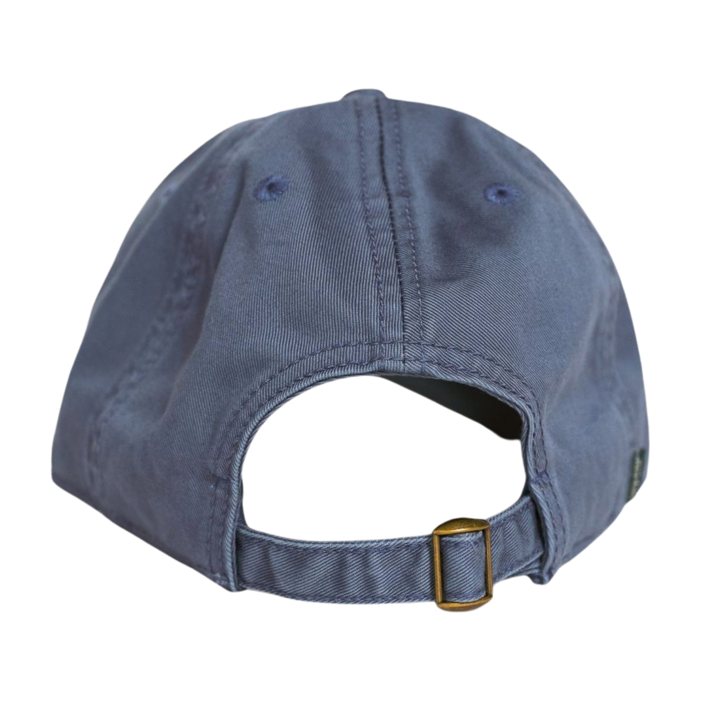 GSTC Georgia Sea Turtle Center Hat