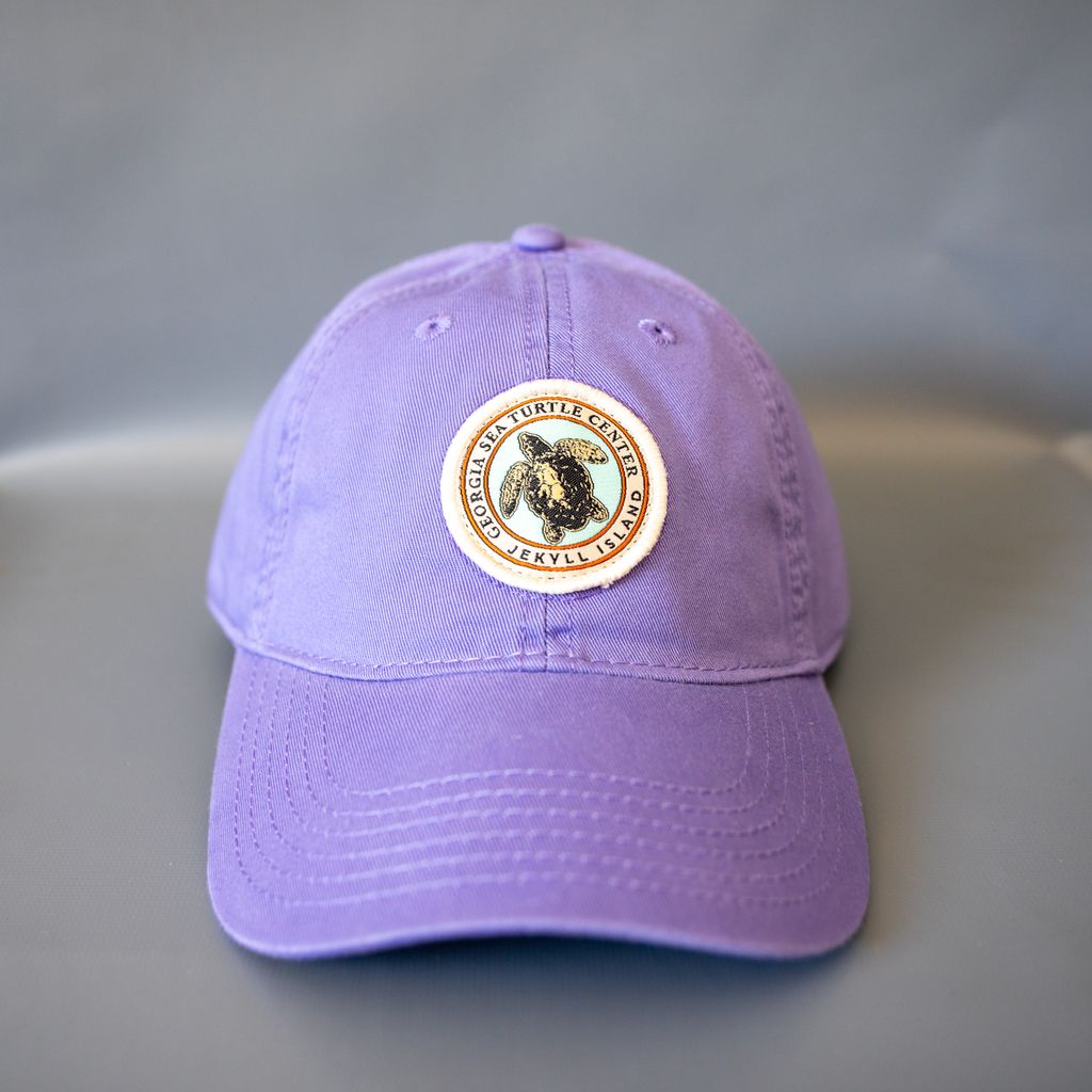 Georgia Sea Turtle Center Logo Hat