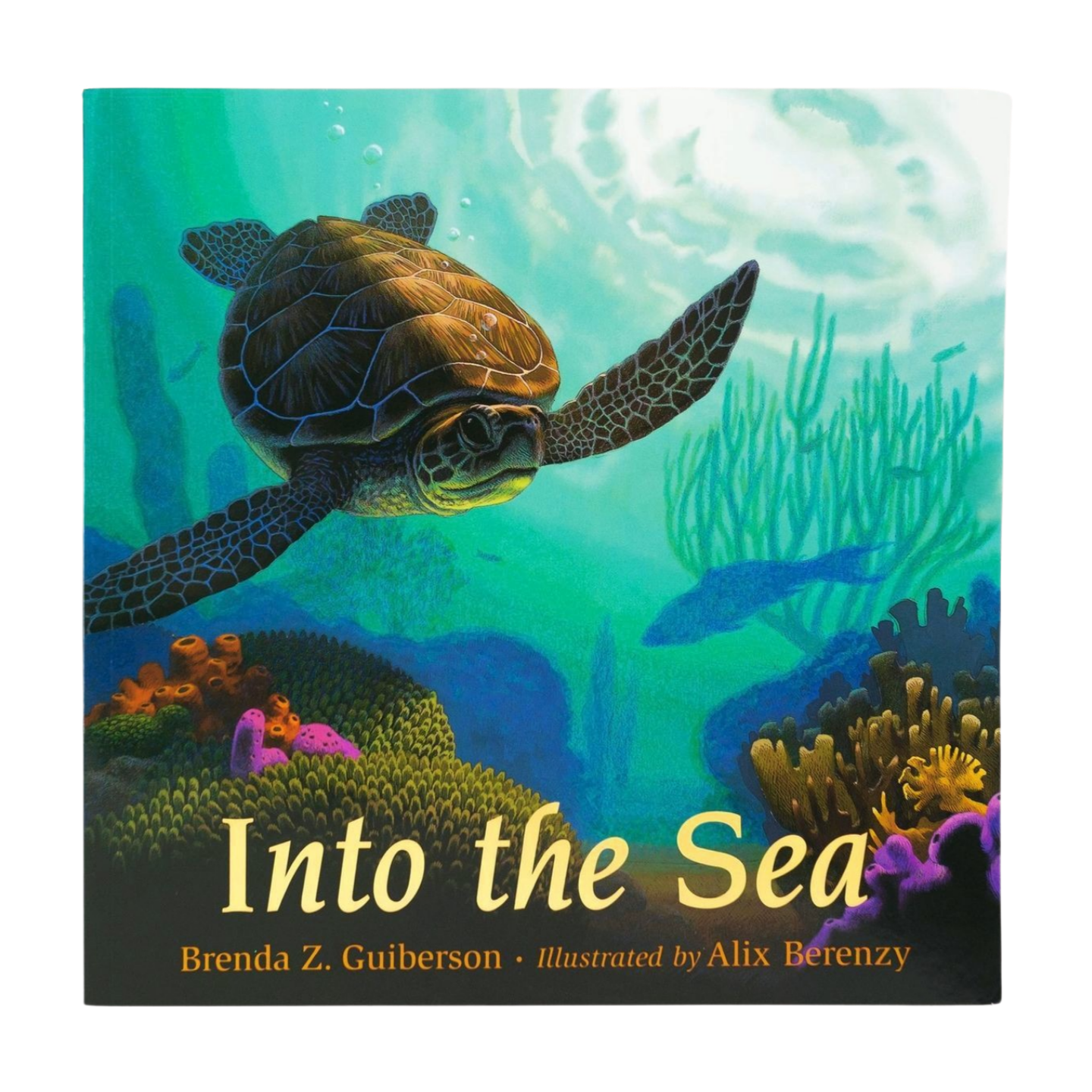 GSTC Into the Sea (Scute Approved Reading)
