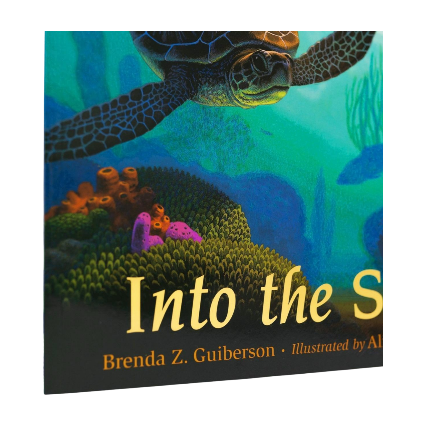 GSTC Into the Sea (Scute Approved Reading)