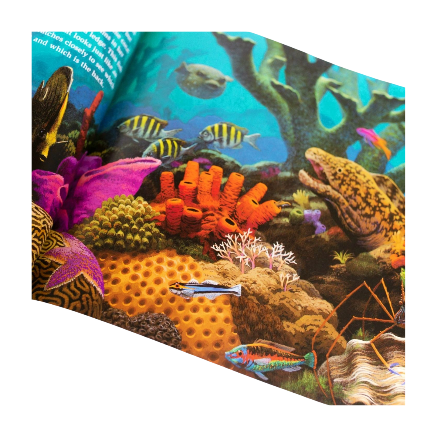 GSTC Into the Sea (Scute Approved Reading)