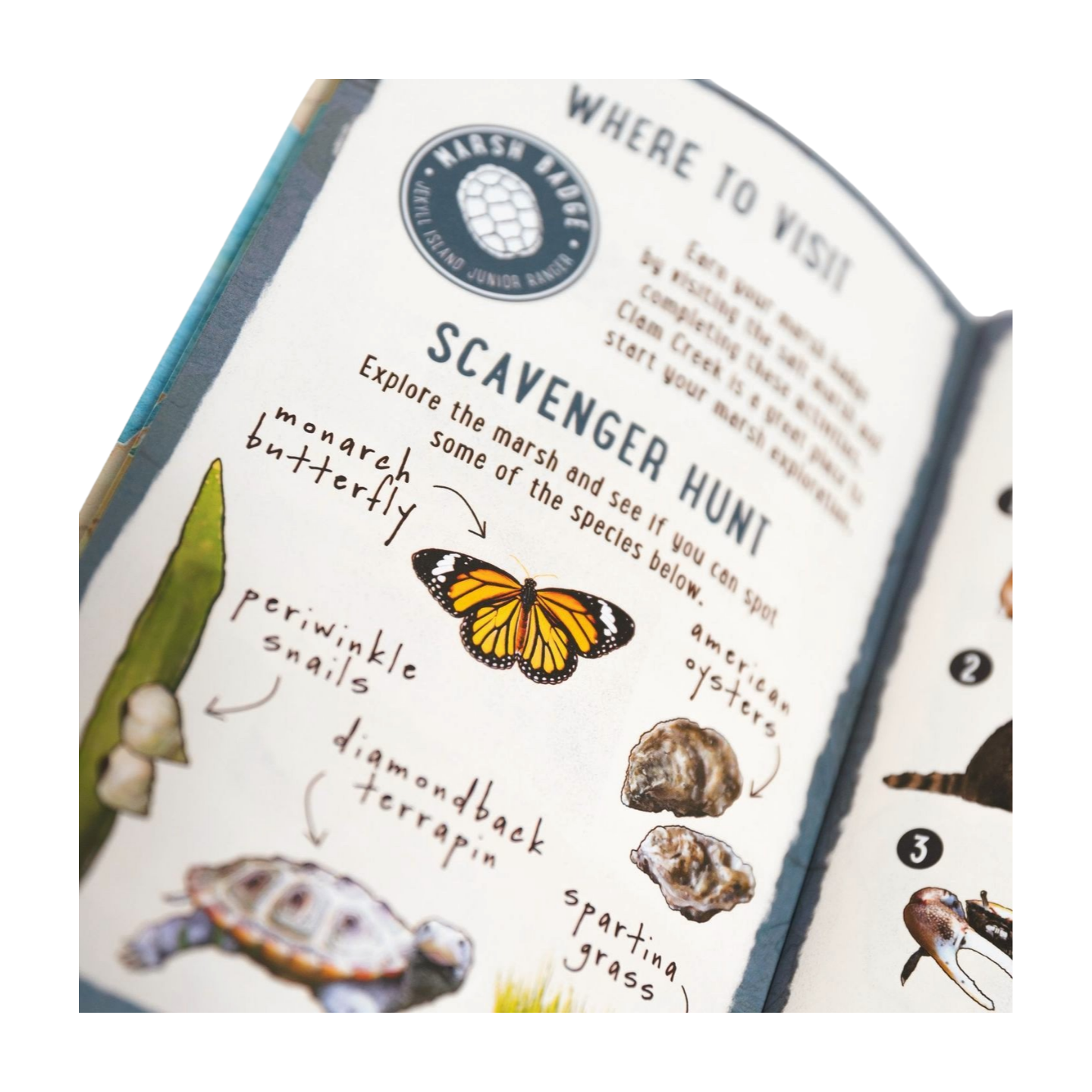 GSTC Junior Ranger Field Guide