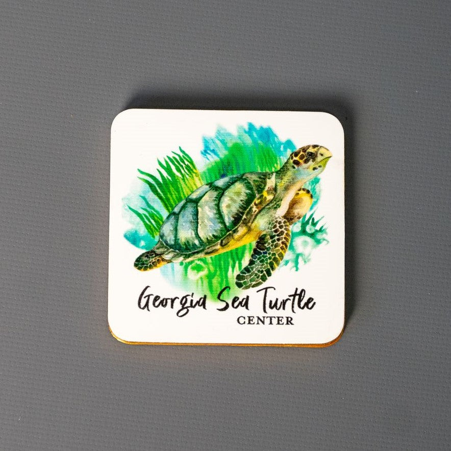 Georgia Sea Turtle Center Magnet – Jekyll Island Online Store