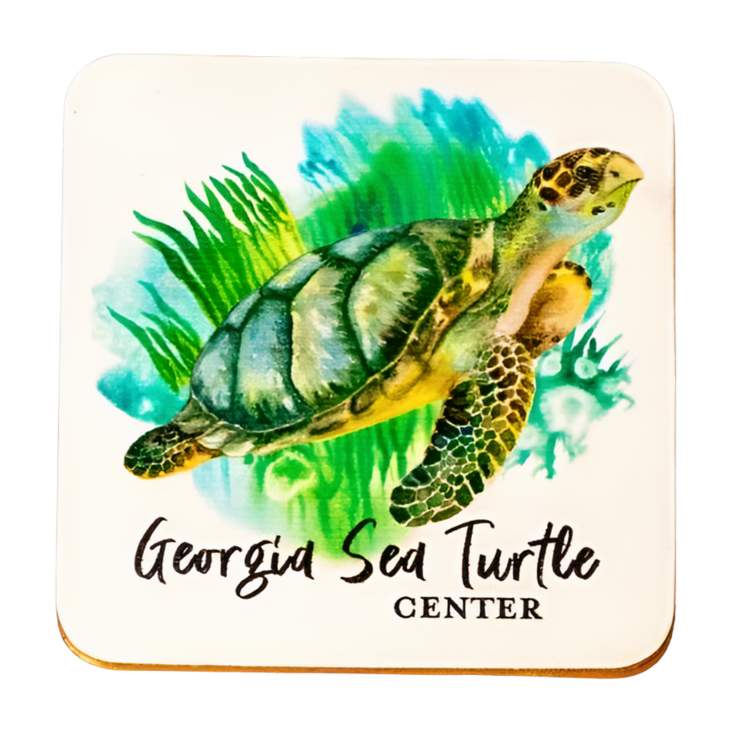 GSTC Georgia Sea Turtle Center Square Magnet