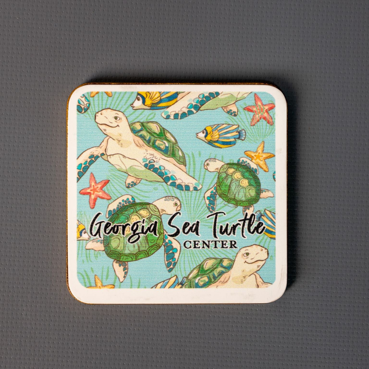 Georgia Sea Turtle Center Magnet – Jekyll Island Online Store