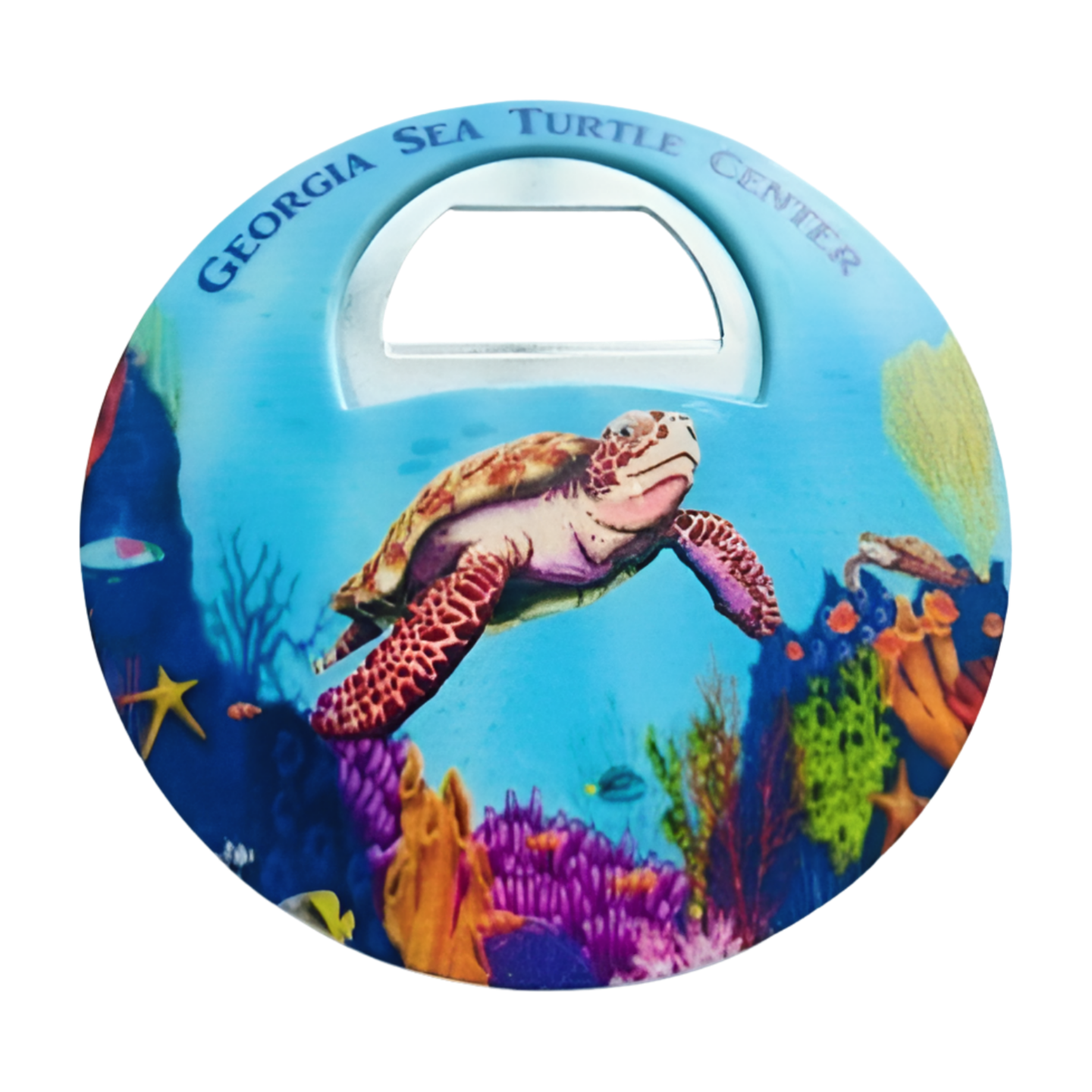GSTC Turtle Bottle Opener/Magnet