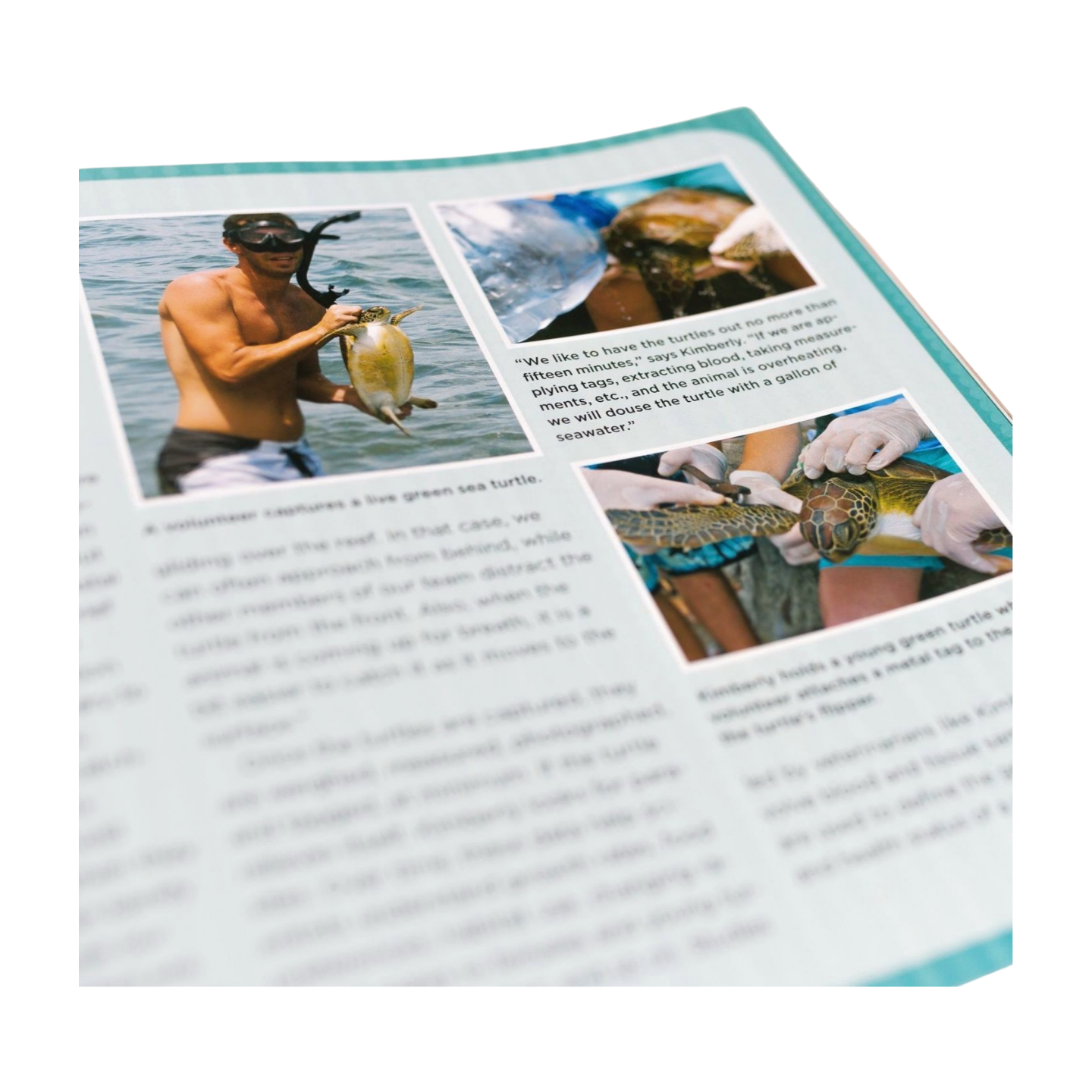 GSTC Sea Turtle Scientist (Scute Approved Reading)