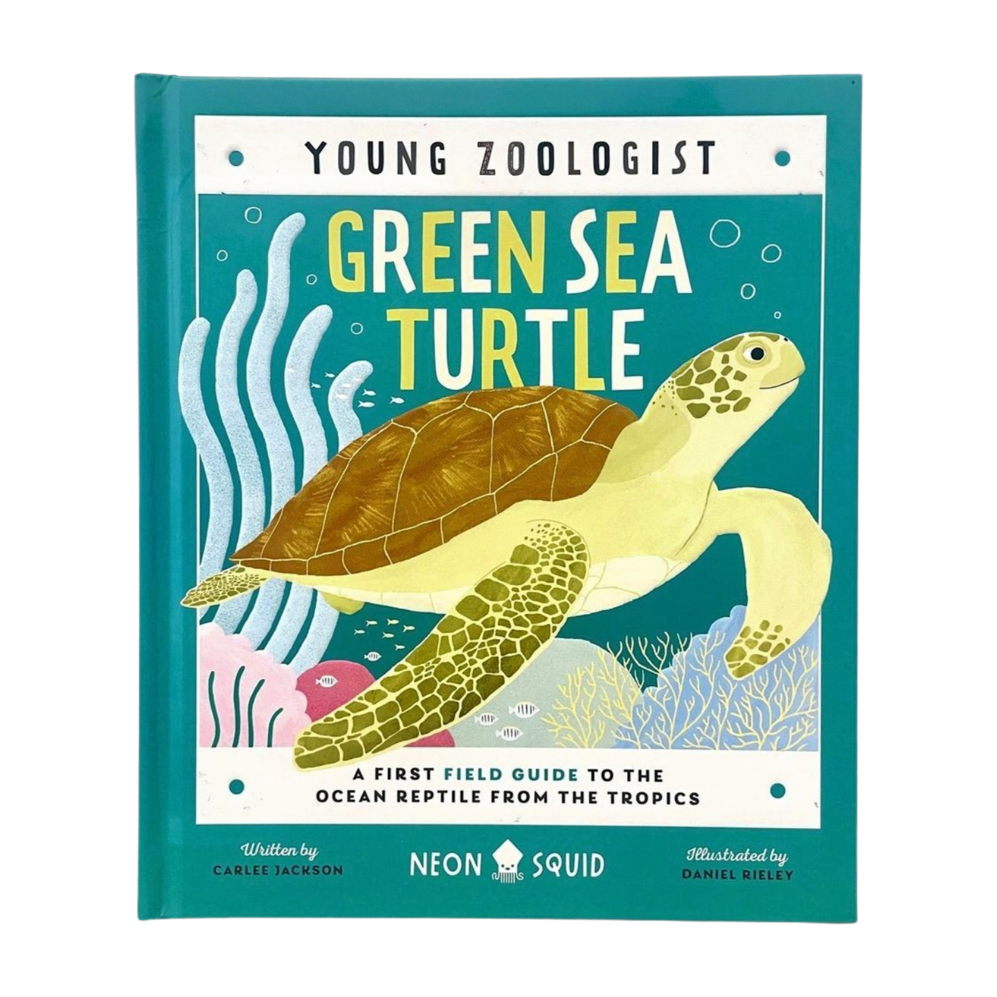 GSTC Green Sea Turtle Young Zoologist Children's Book