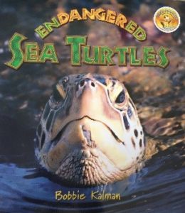 Endangered Sea Turtles (Scute Approved Reading)