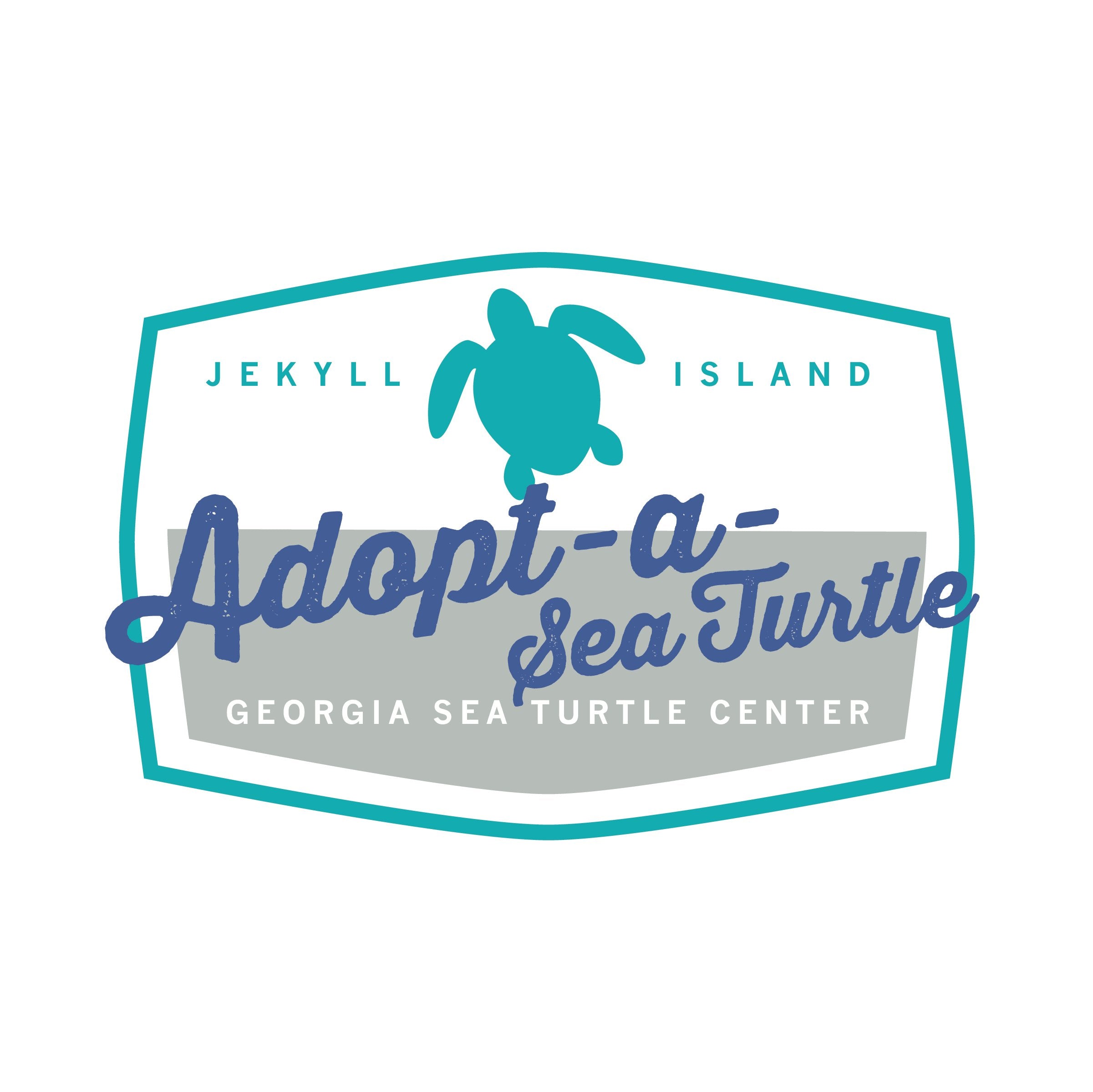 Georgia Sea Turtle Center Hydrapeak 40oz Handle
