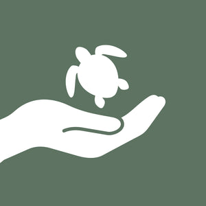Georgia Sea Turtle Center Donation