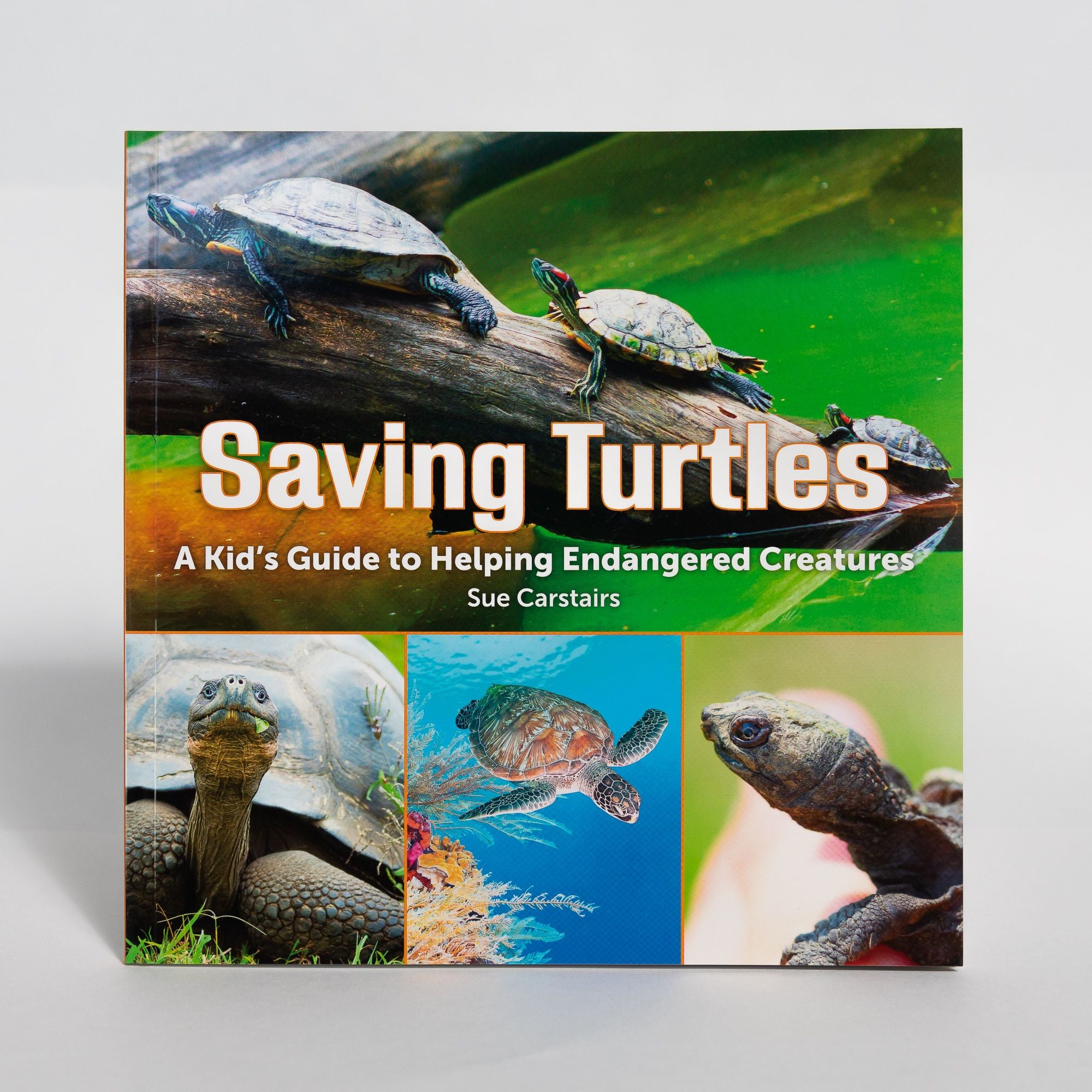 Book: Getting to Know Sea Turtles – The Turtle Hospital