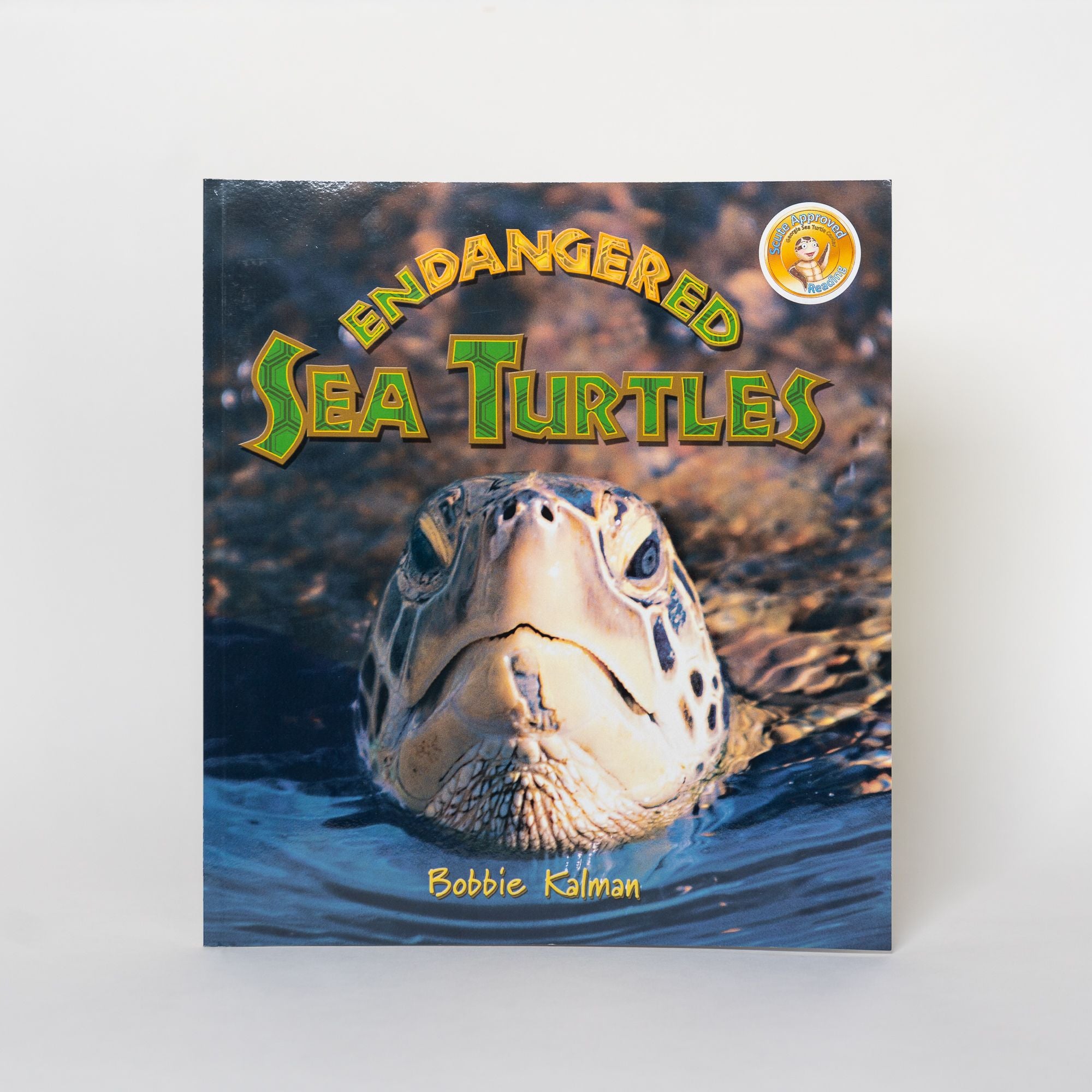 Endangered Sea Turtle