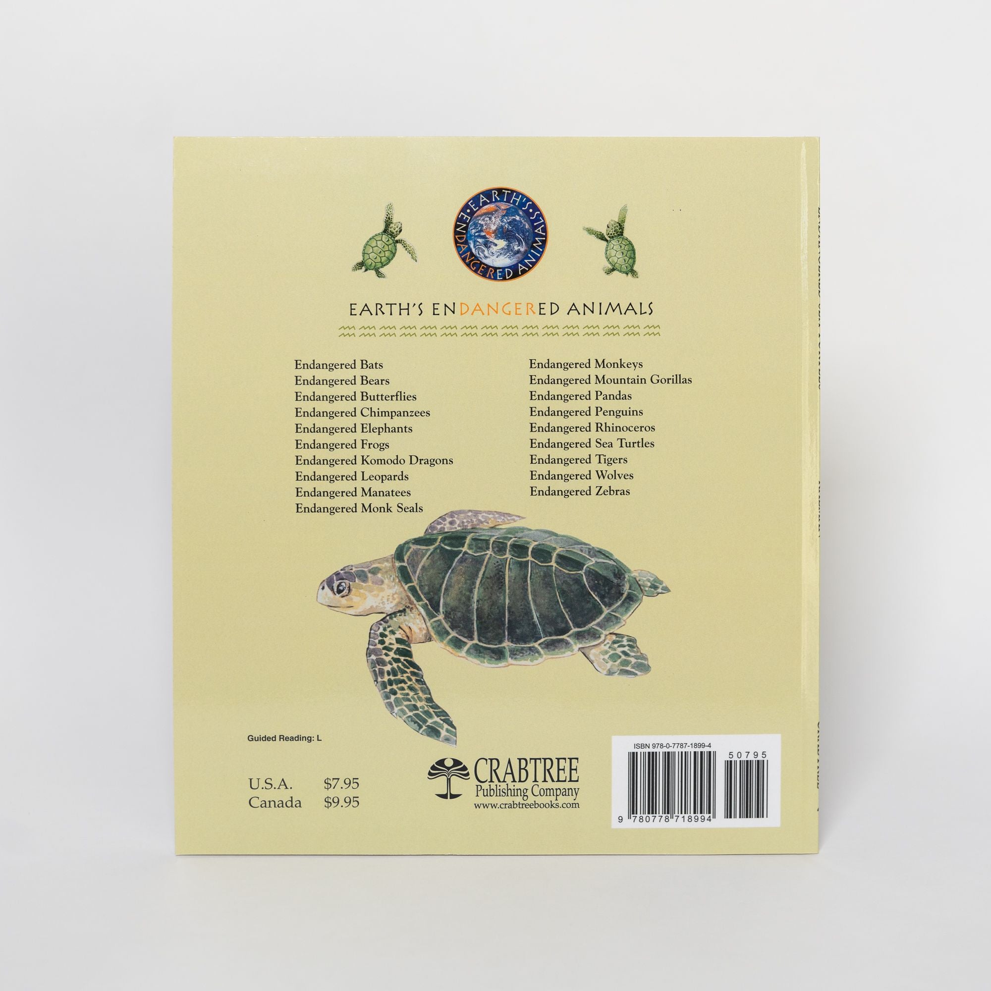 Endangered Sea Turtle