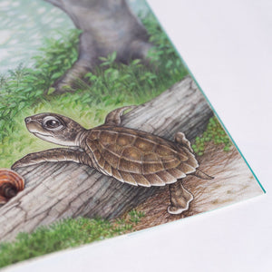 Where Should Turtle Be? (Scute Approved Reading)